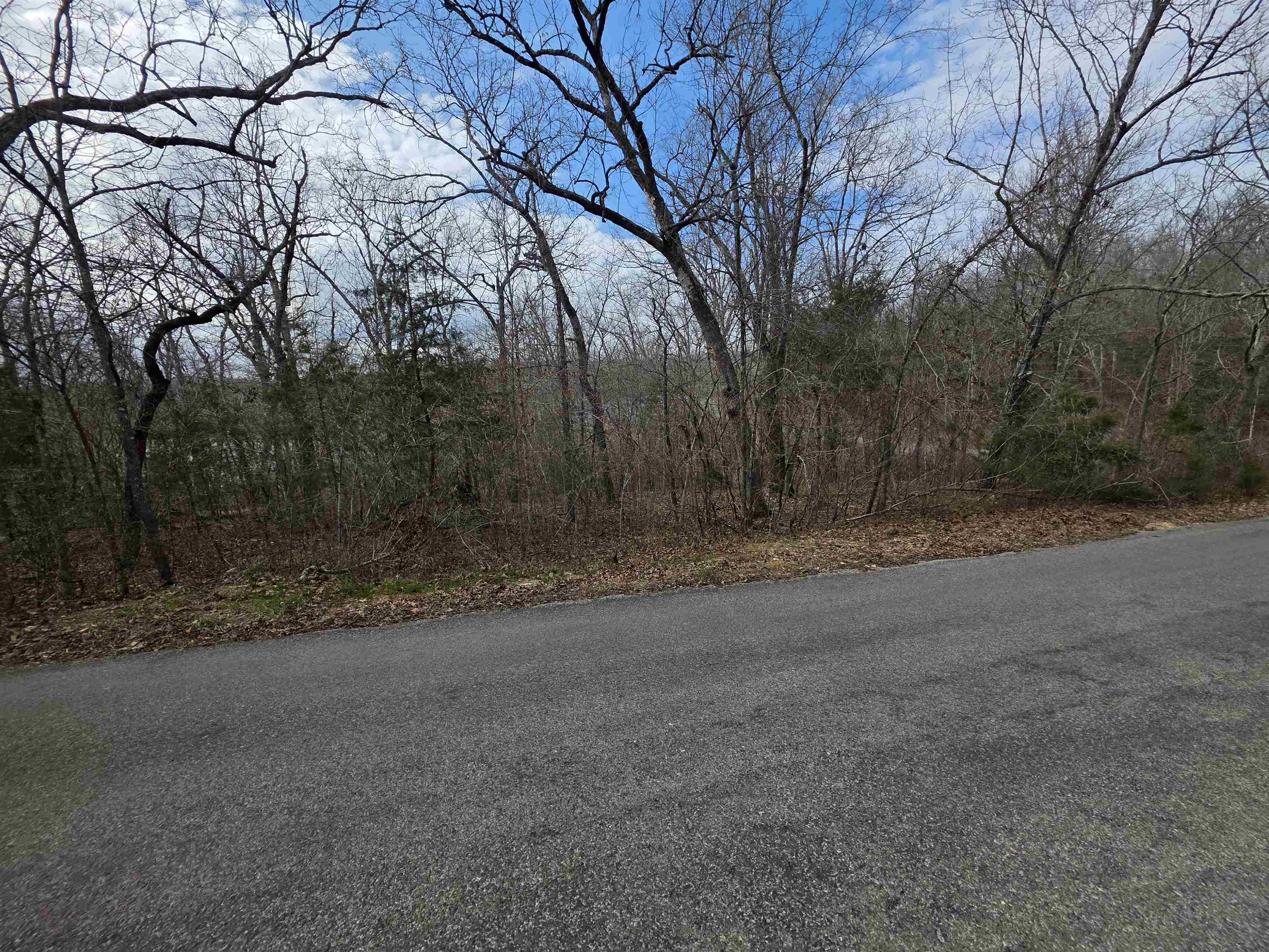 Photo 3 - Vacant Land for sale – L-25 B-1  Woodland Hills   Hardy, AR