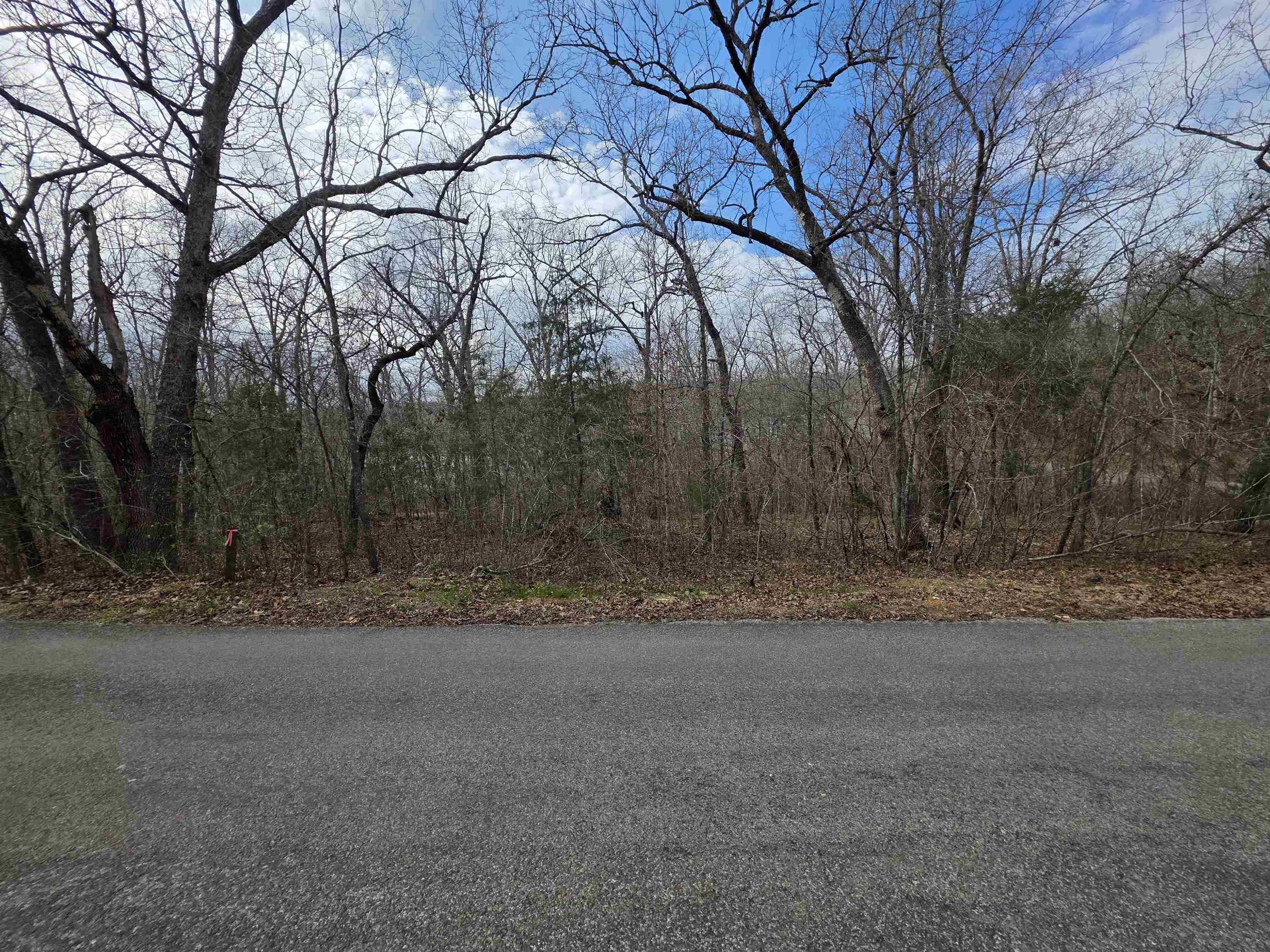 Photo 4 - Vacant Land for sale – L-25 B-1  Woodland Hills   Hardy, AR