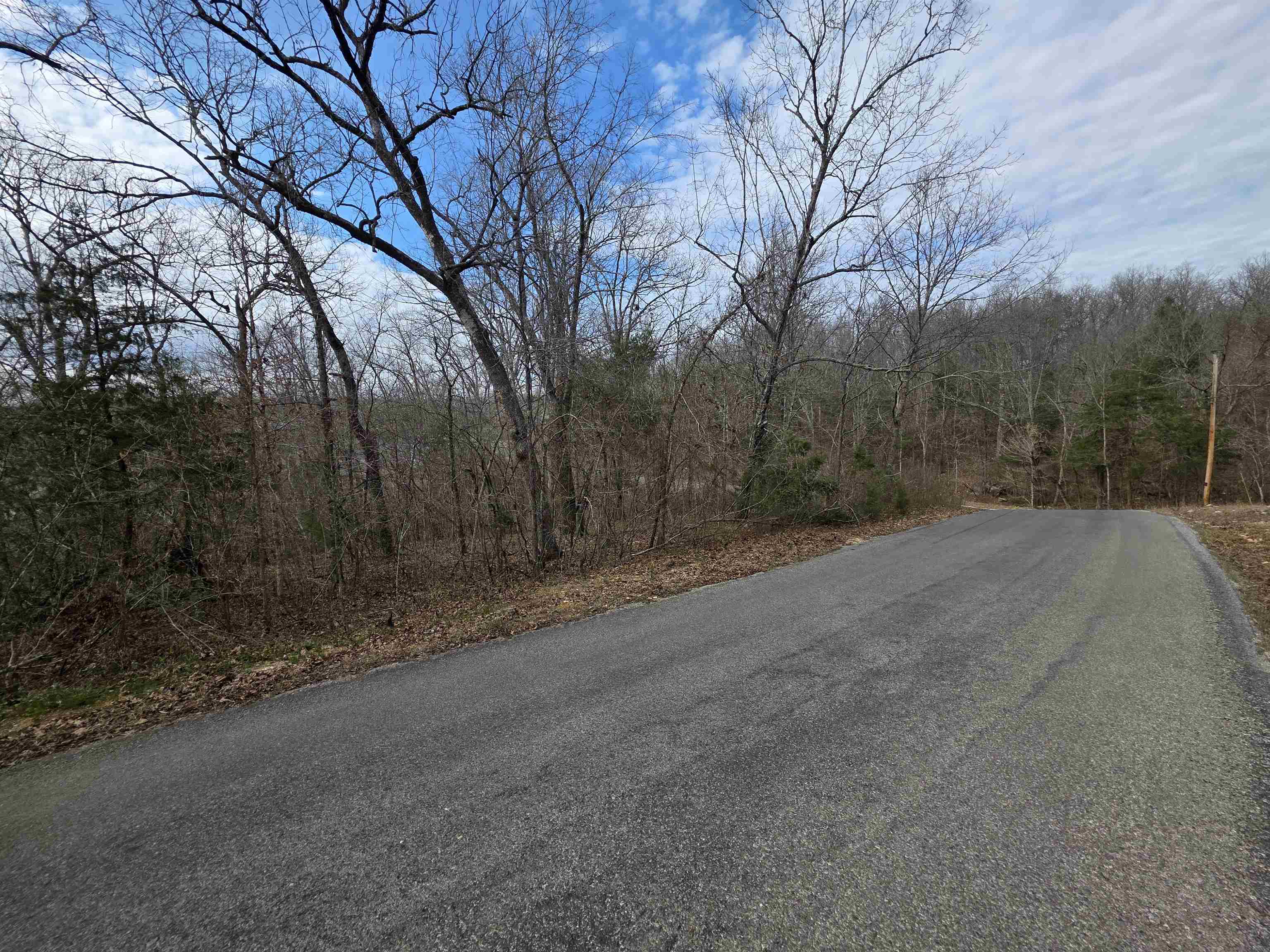 Photo 6 - Vacant Land for sale – L-25 B-1  Woodland Hills   Hardy, AR