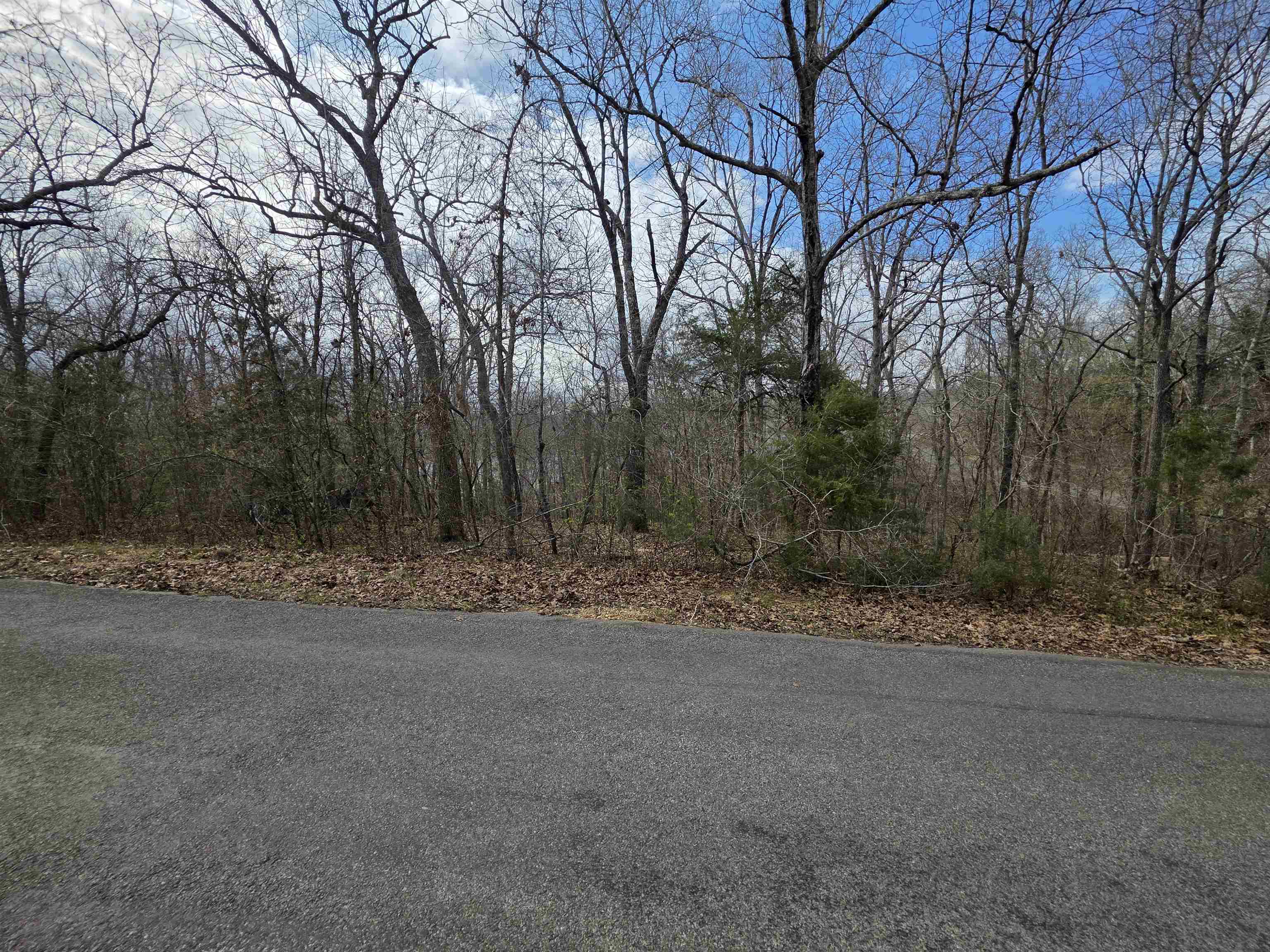 Photo 7 - Vacant Land for sale – L-25 B-1  Woodland Hills   Hardy, AR