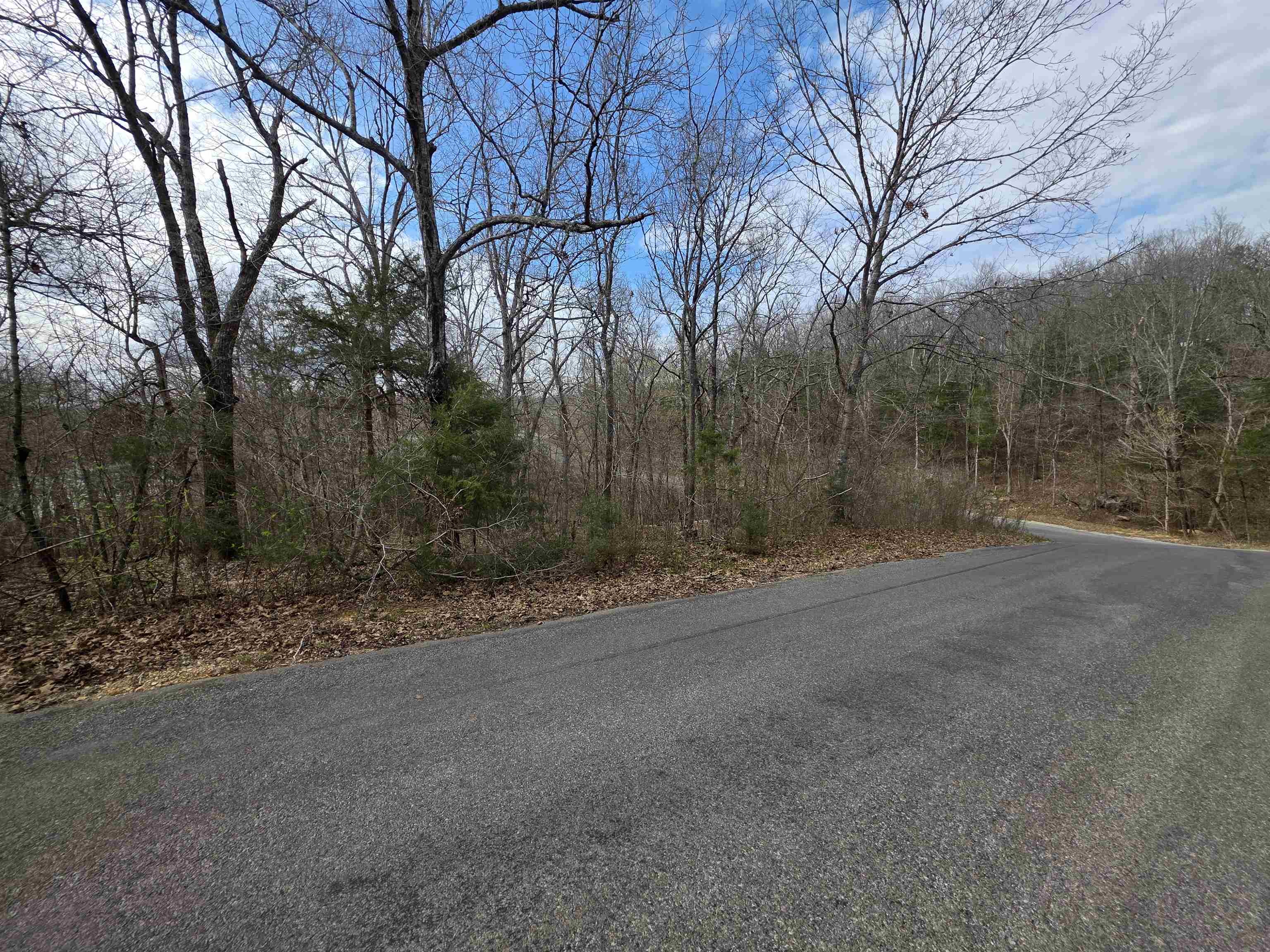 Photo 8 - Vacant Land for sale – L-25 B-1  Woodland Hills   Hardy, AR