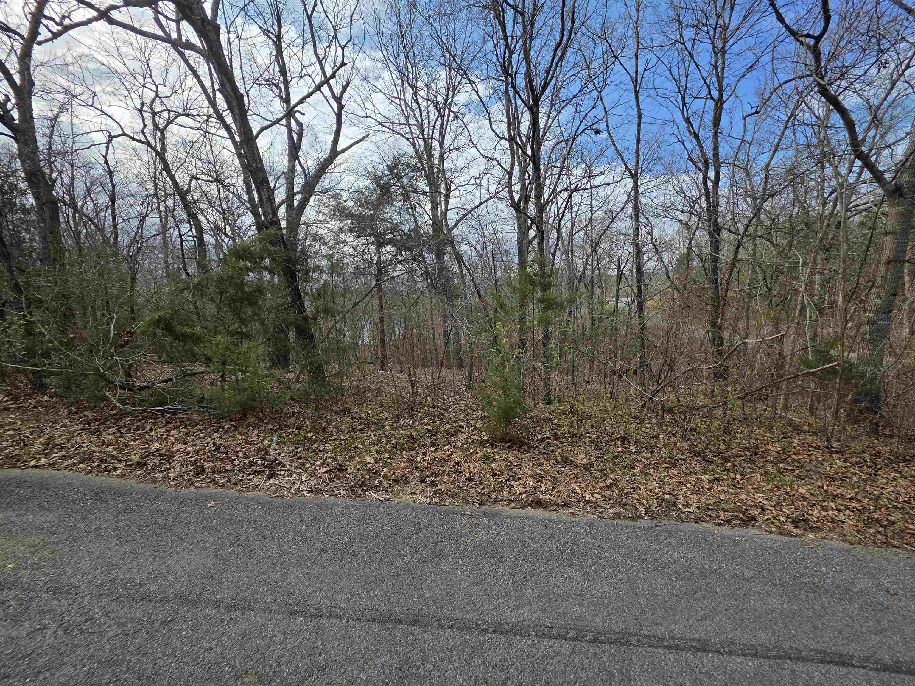 Photo 9 - Vacant Land for sale – L-25 B-1  Woodland Hills   Hardy, AR