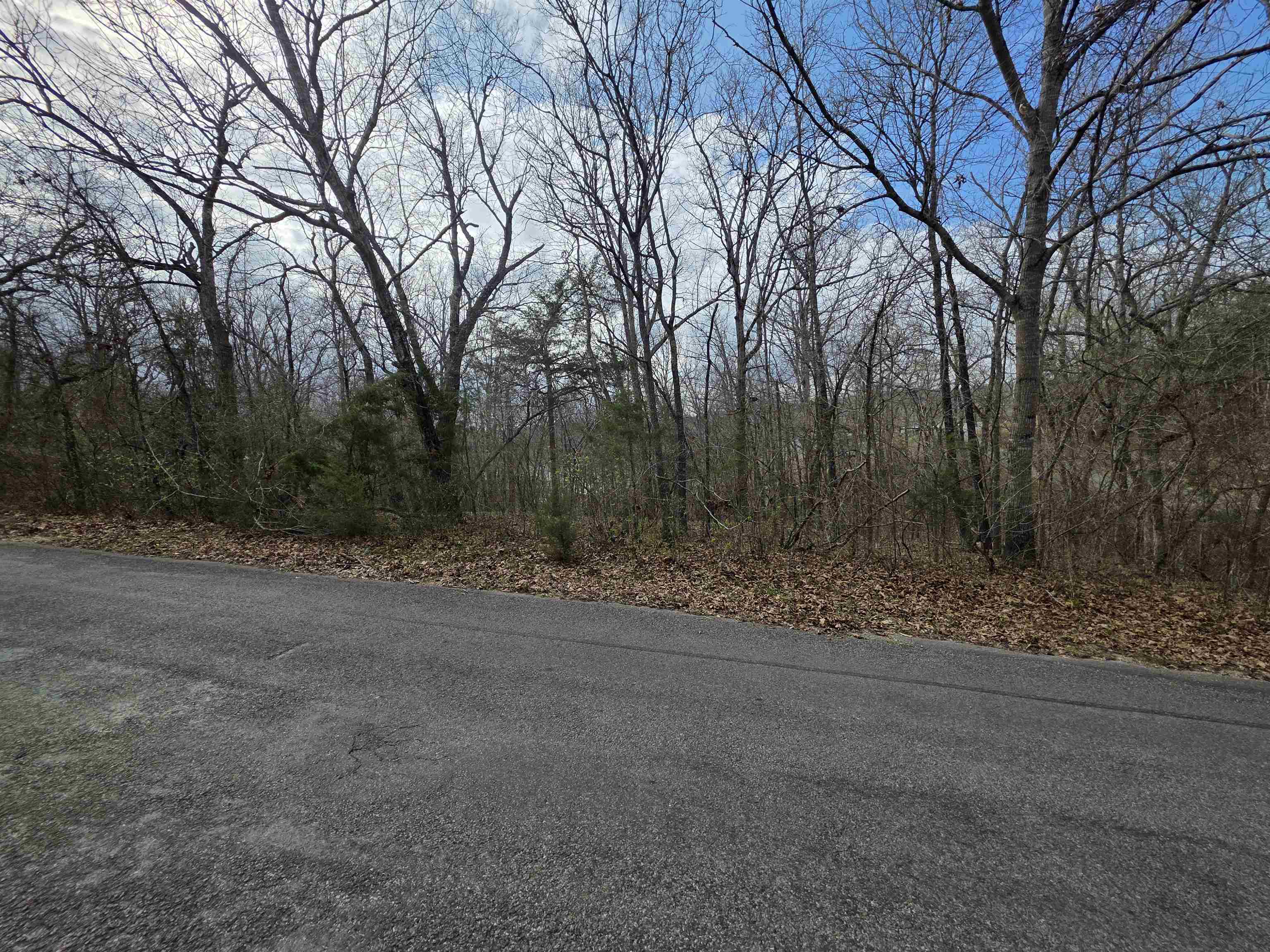 Photo 10 - Vacant Land for sale – L-25 B-1  Woodland Hills   Hardy, AR