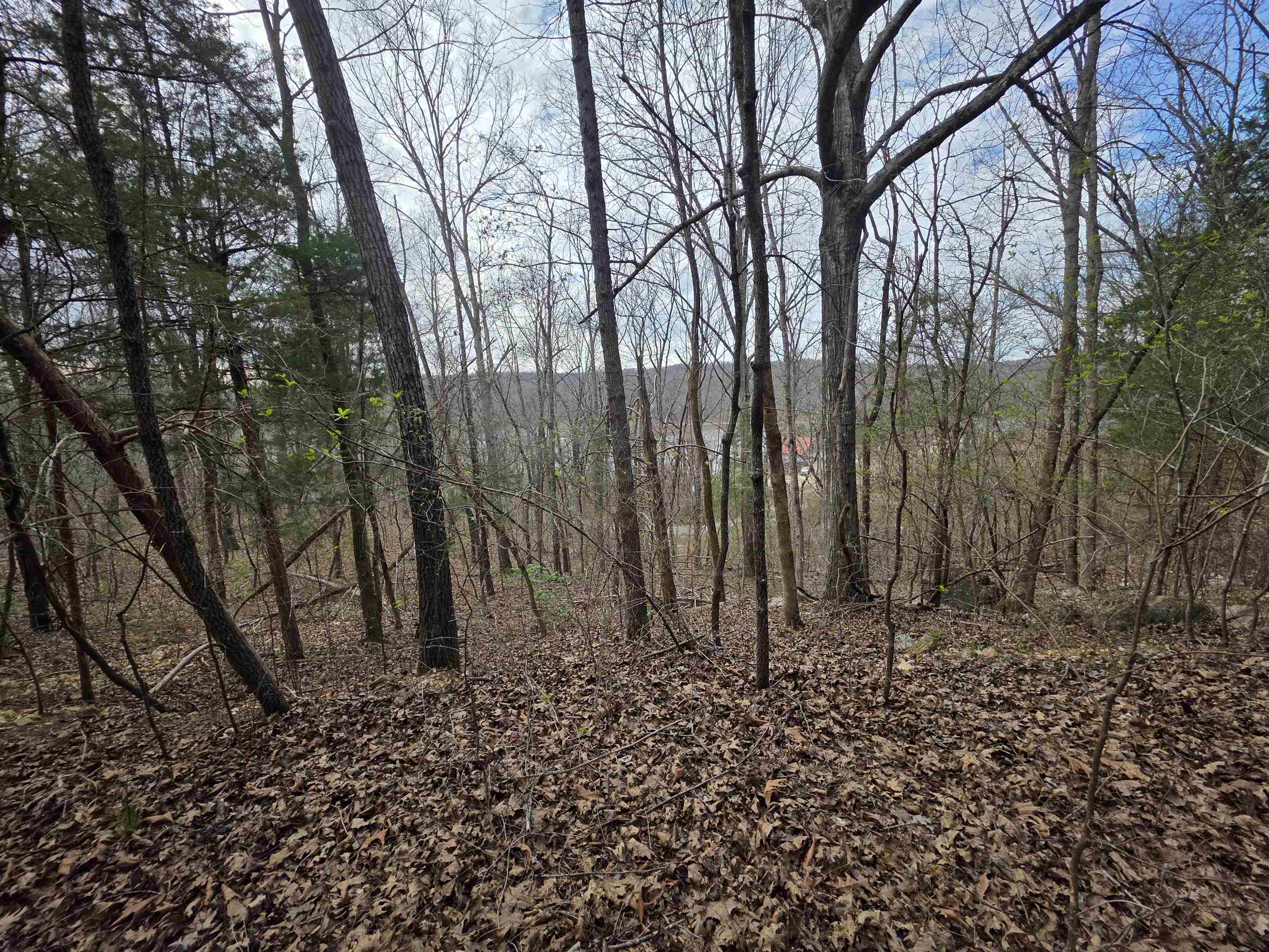 Vacant Land for sale – L-24 B-7  Steves   Hardy, AR
