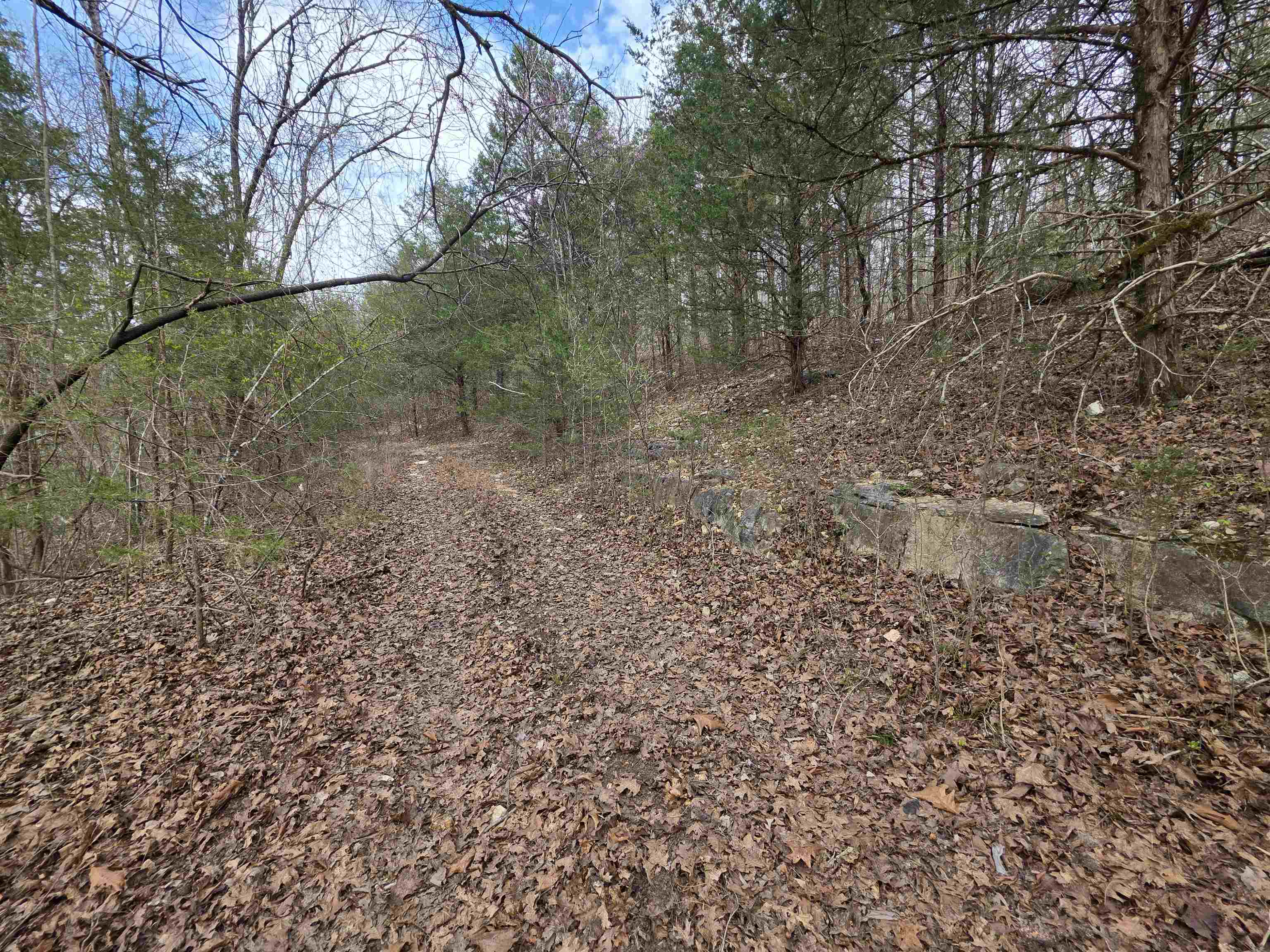 Photo 2 - Vacant Land for sale – L-24 B-7  Steves   Hardy, AR
