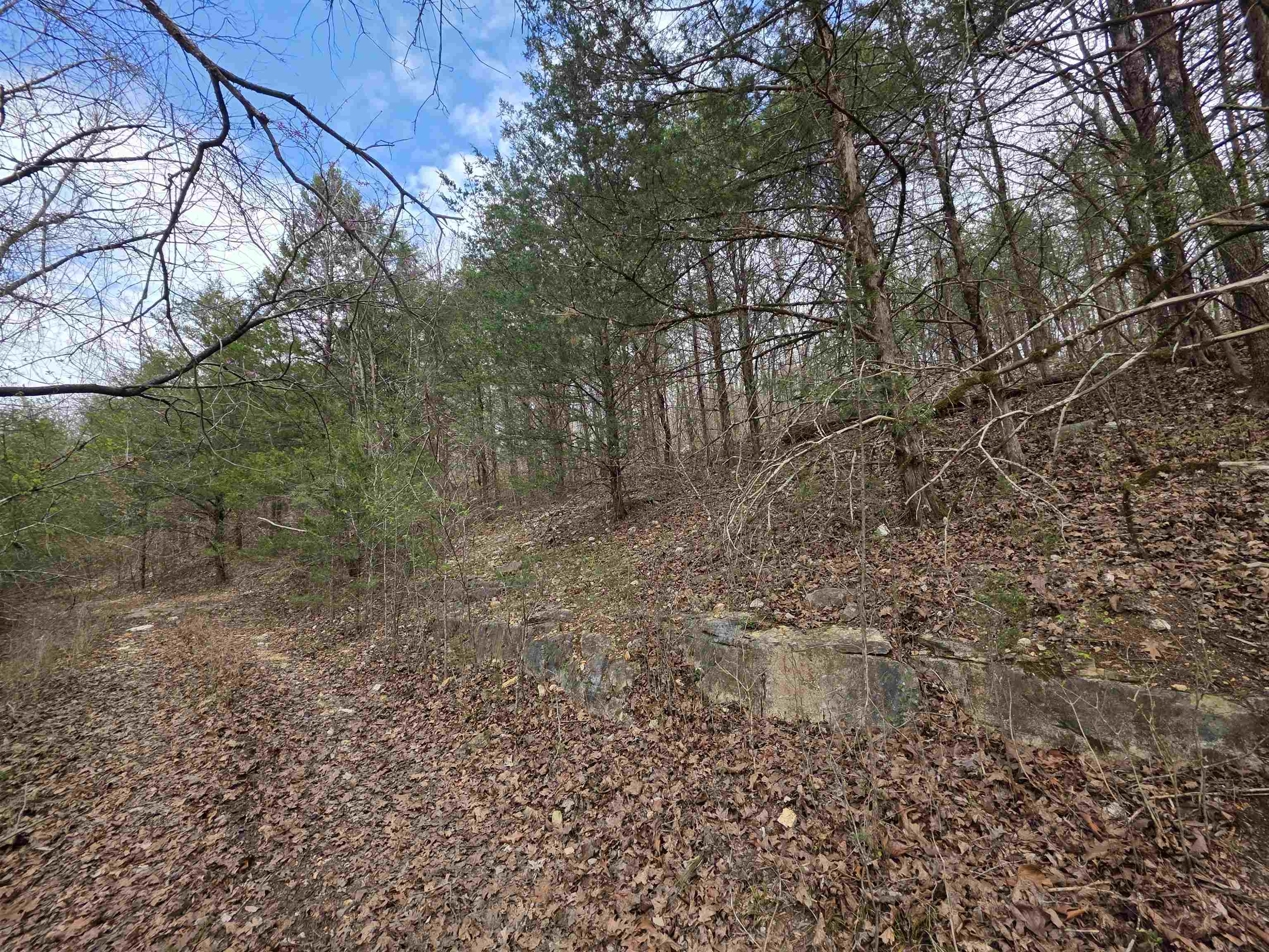 Photo 11 - Vacant Land for sale – L-24 B-7  Steves   Hardy, AR