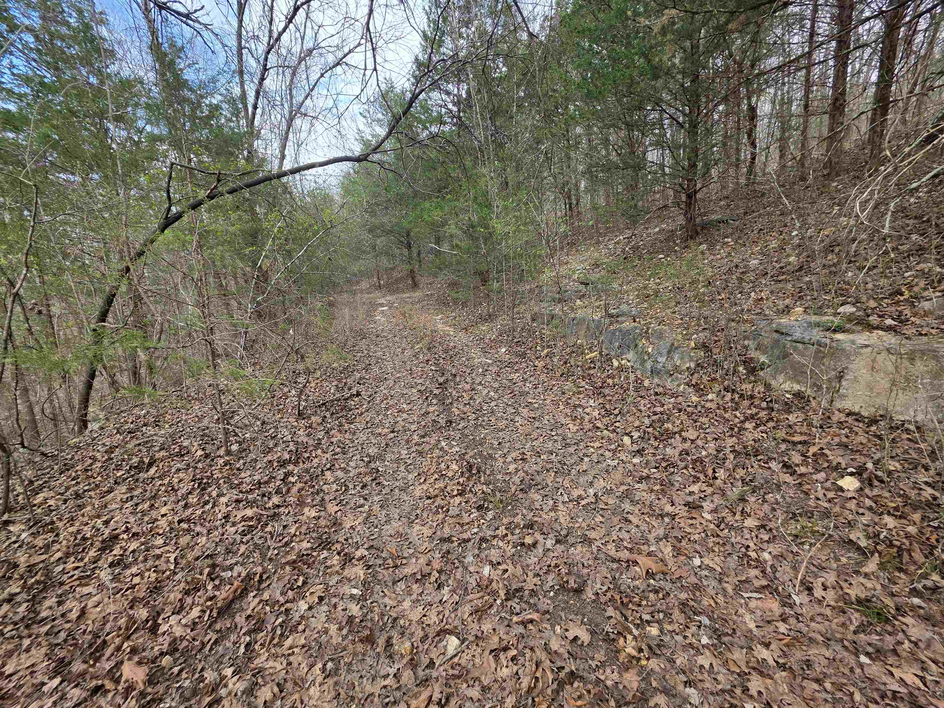 Photo 12 - Vacant Land for sale – L-24 B-7  Steves   Hardy, AR