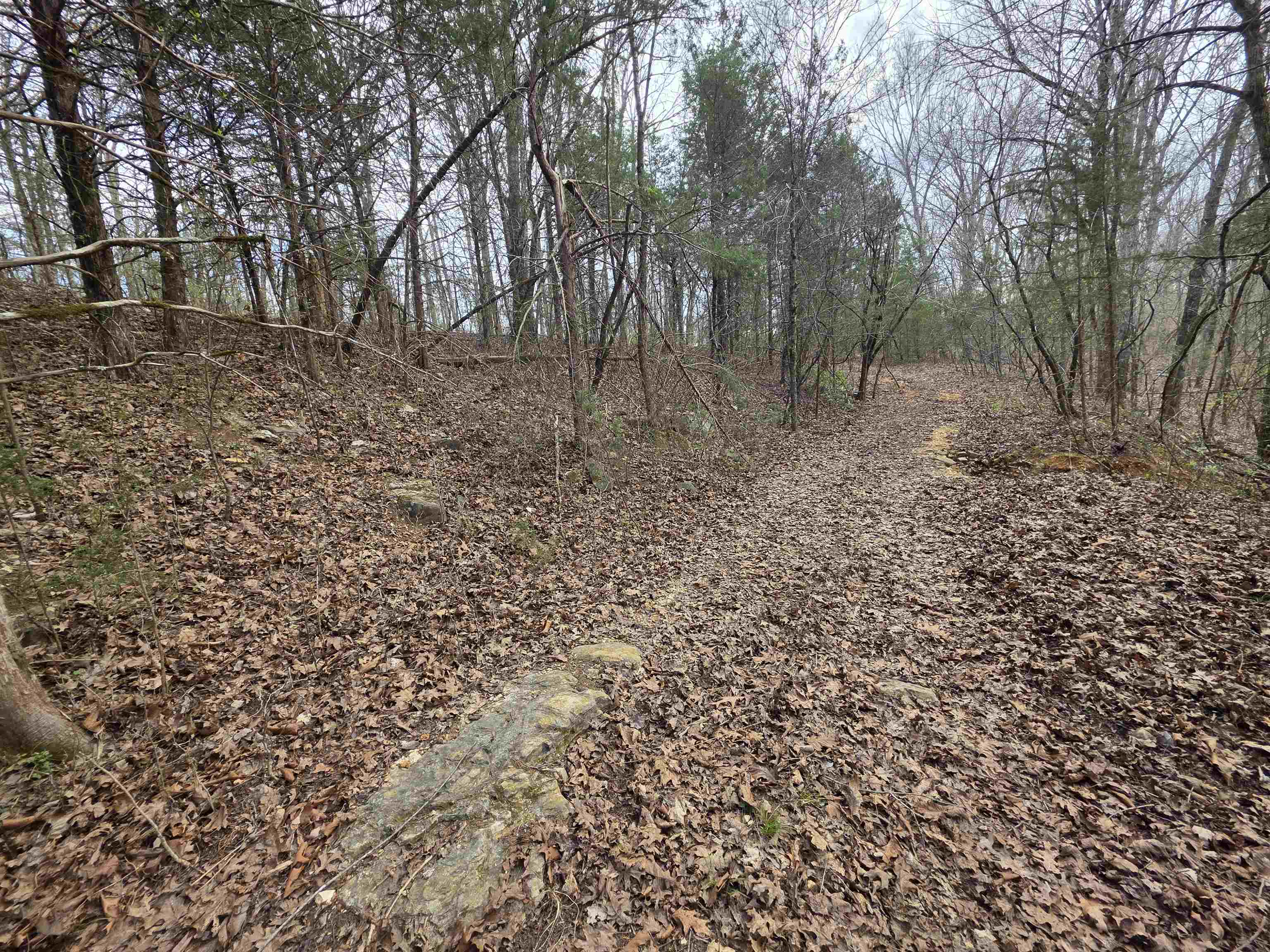 Photo 13 - Vacant Land for sale – L-24 B-7  Steves   Hardy, AR