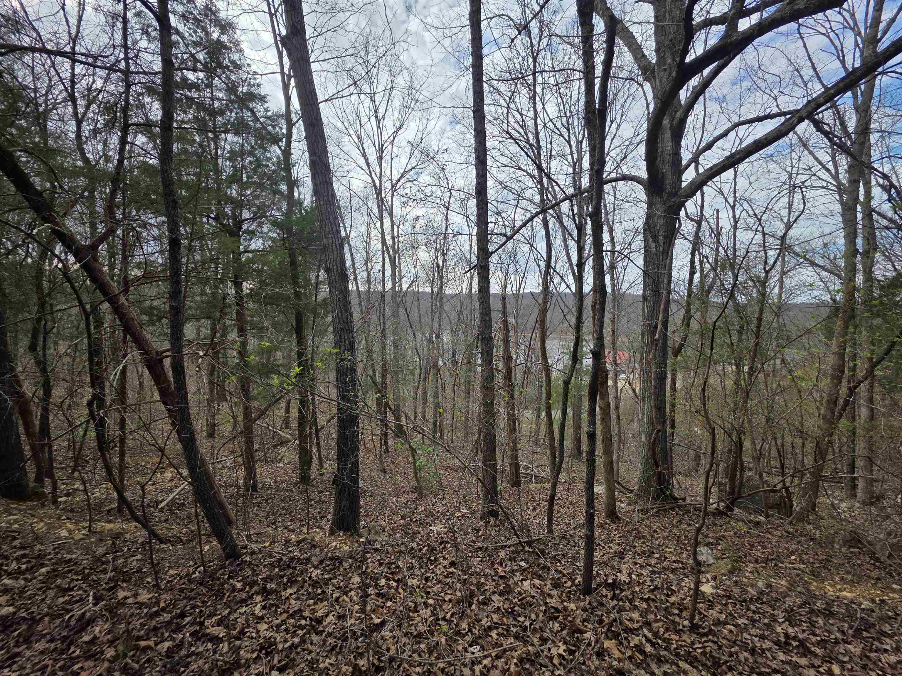 Photo 14 - Vacant Land for sale – L-24 B-7  Steves   Hardy, AR