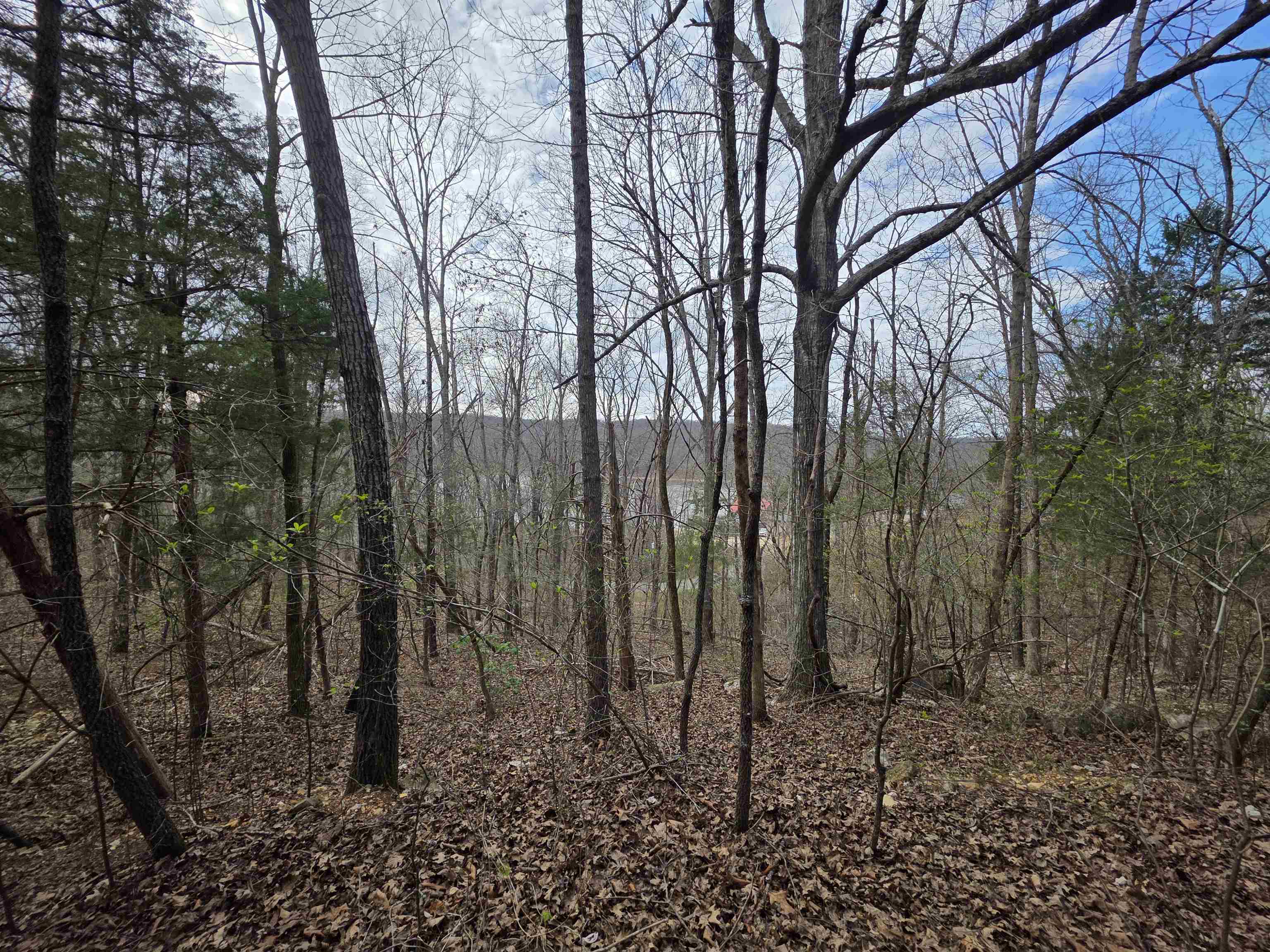 Photo 15 - Vacant Land for sale – L-24 B-7  Steves   Hardy, AR