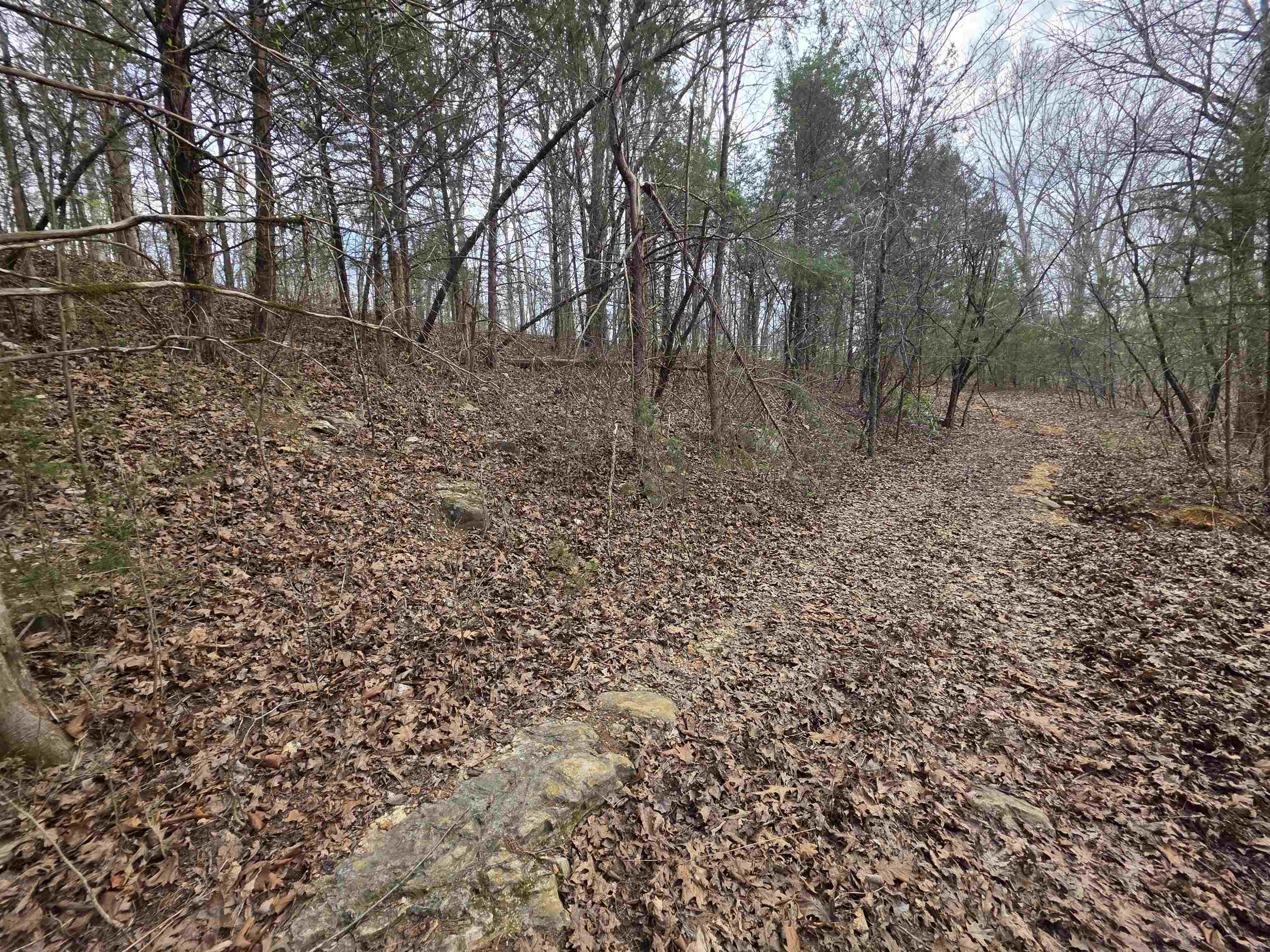 Photo 3 - Vacant Land for sale – L-24 B-7  Steves   Hardy, AR