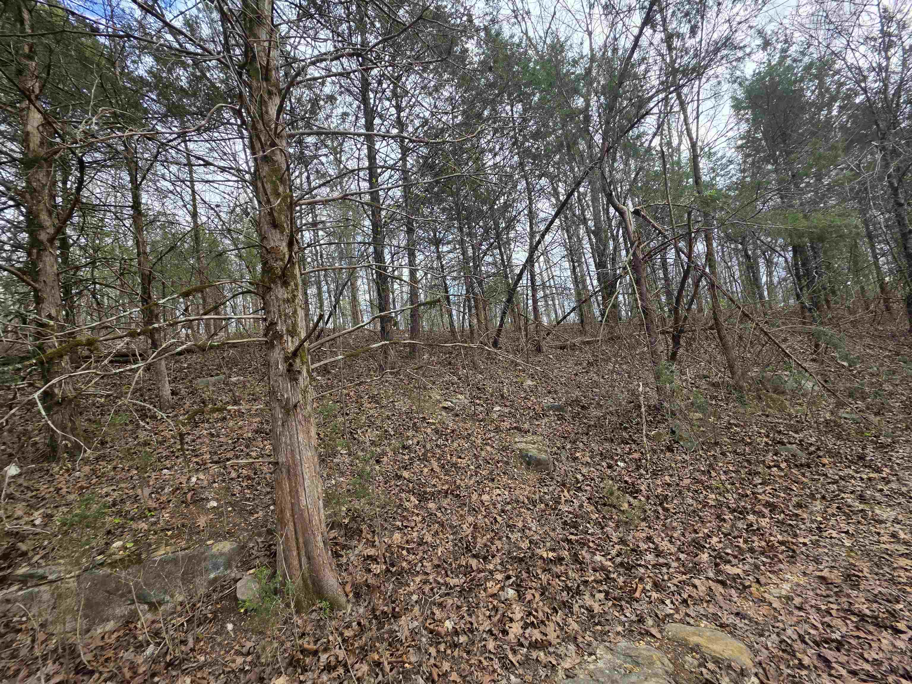 Photo 4 - Vacant Land for sale – L-24 B-7  Steves   Hardy, AR