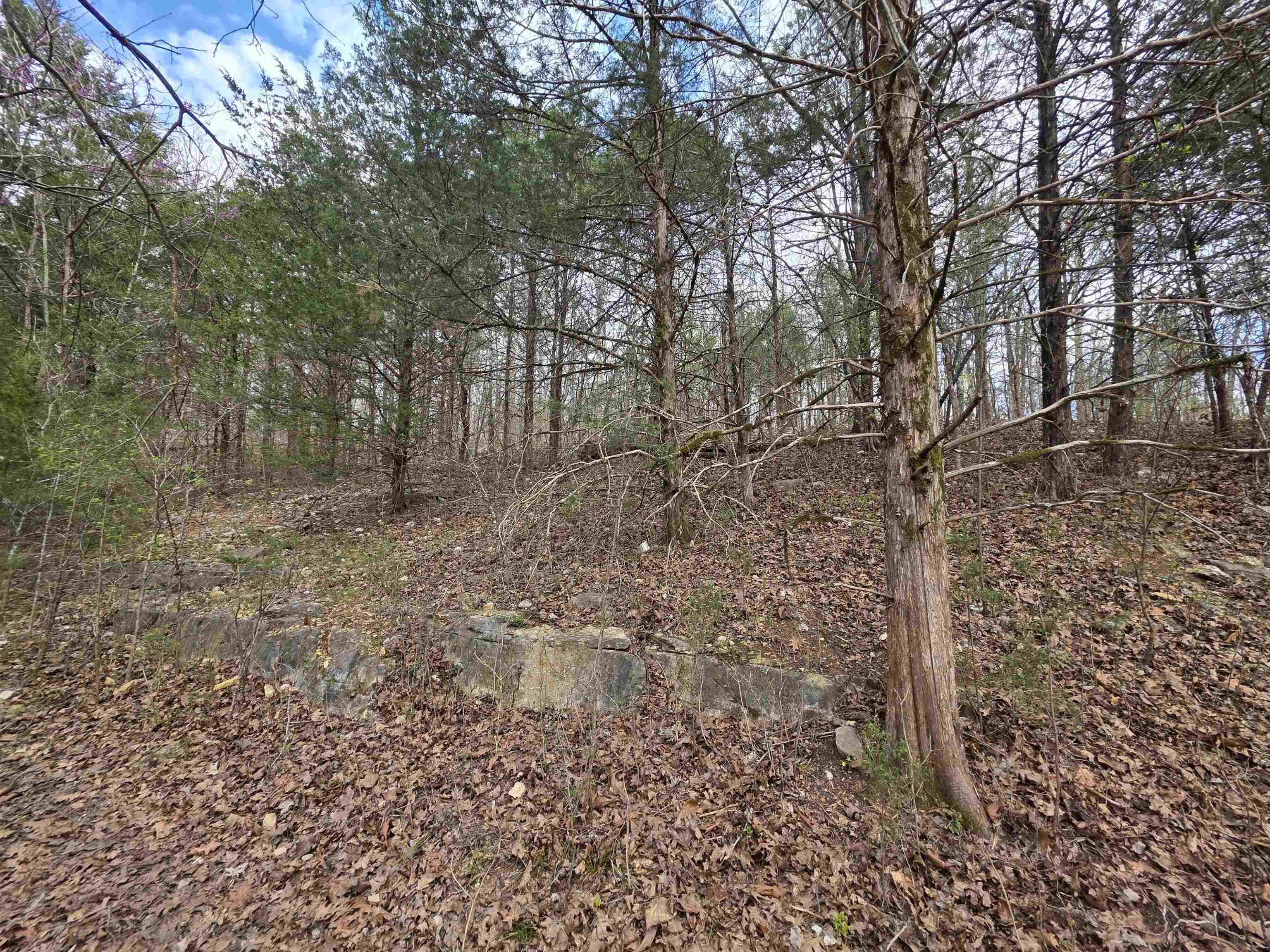 Photo 5 - Vacant Land for sale – L-24 B-7  Steves   Hardy, AR