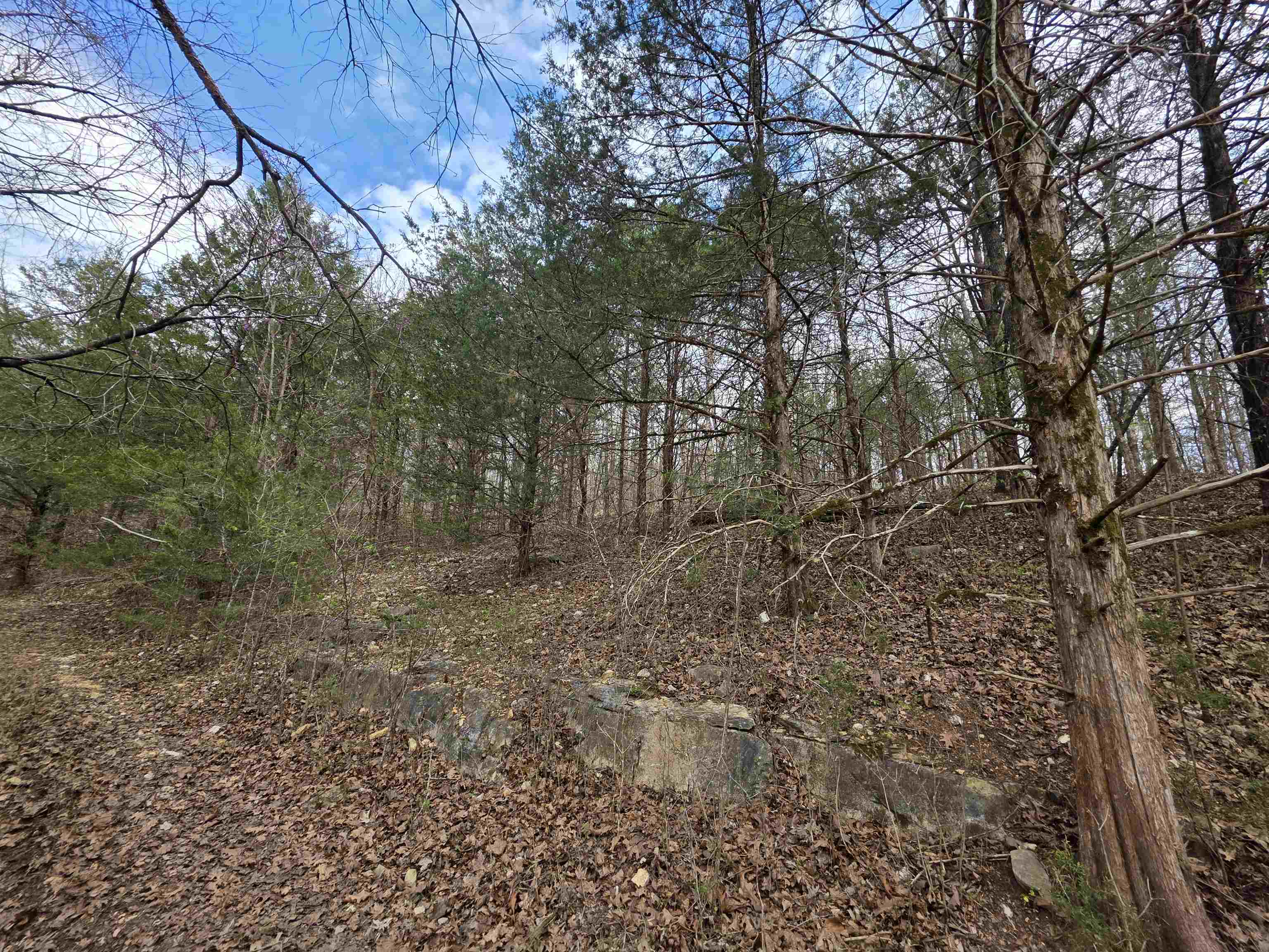 Photo 6 - Vacant Land for sale – L-24 B-7  Steves   Hardy, AR