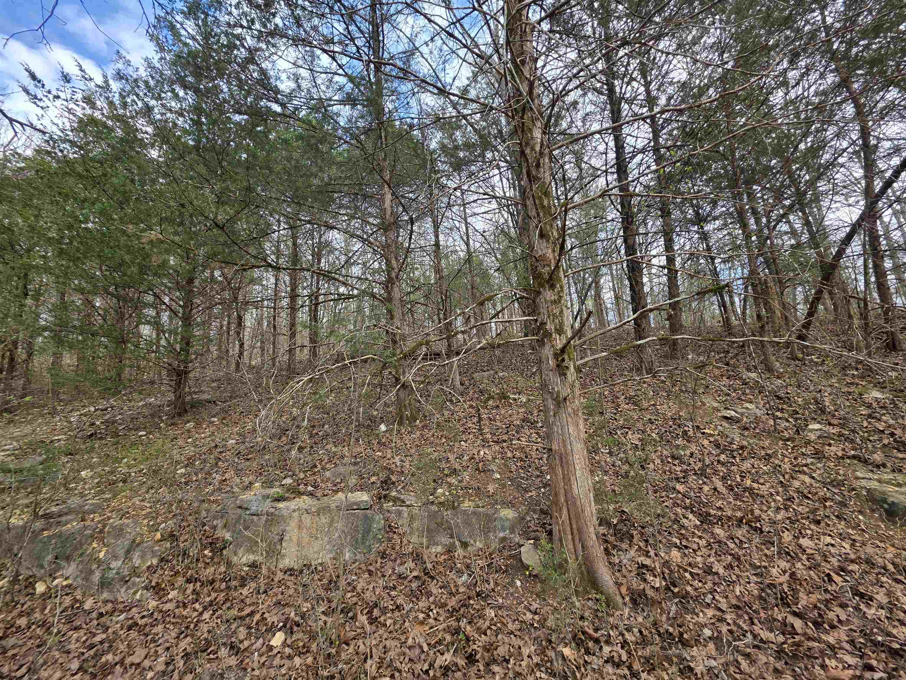 Photo 7 - Vacant Land for sale – L-24 B-7  Steves   Hardy, AR