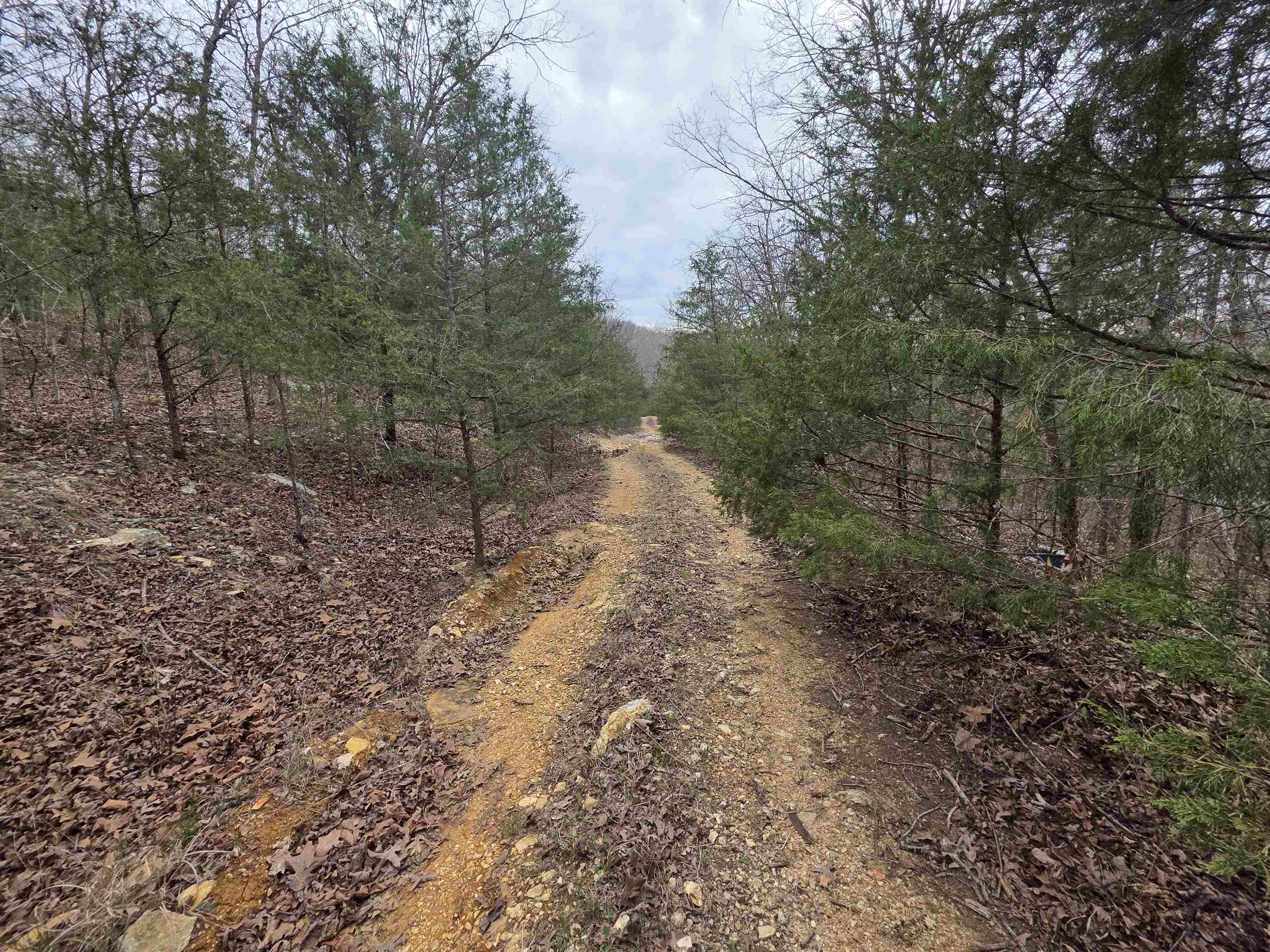 Vacant Land for sale – L-24 B-5  Tom Lee   Hardy, AR