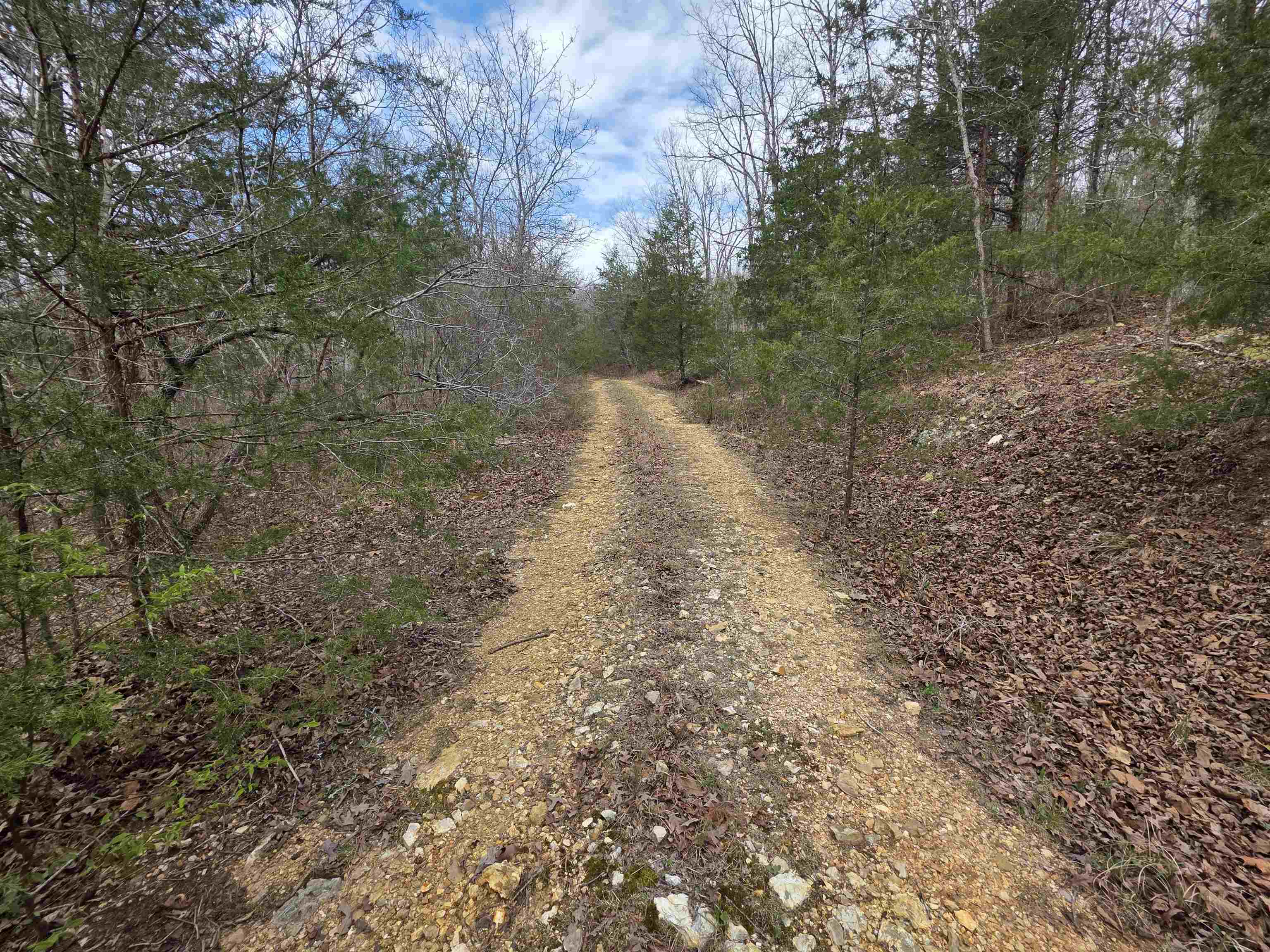 Photo 2 - Vacant Land for sale – L-24 B-5  Tom Lee   Hardy, AR