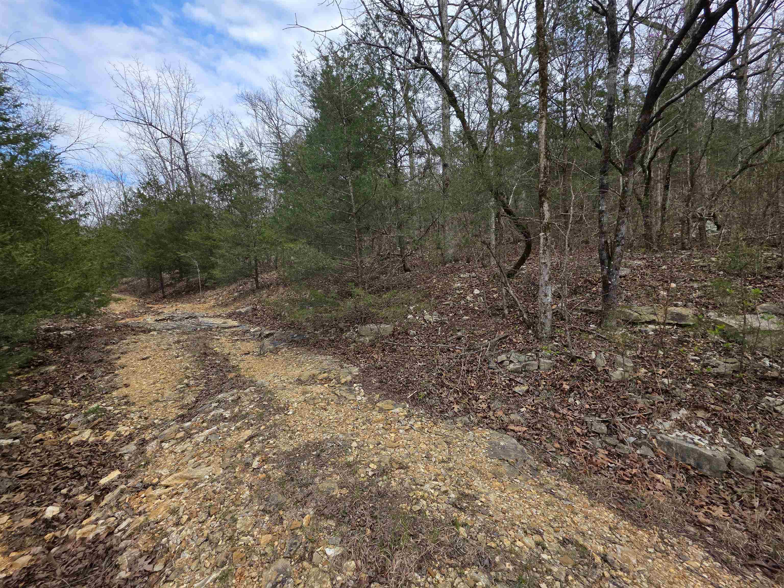 Photo 11 - Vacant Land for sale – L-24 B-5  Tom Lee   Hardy, AR