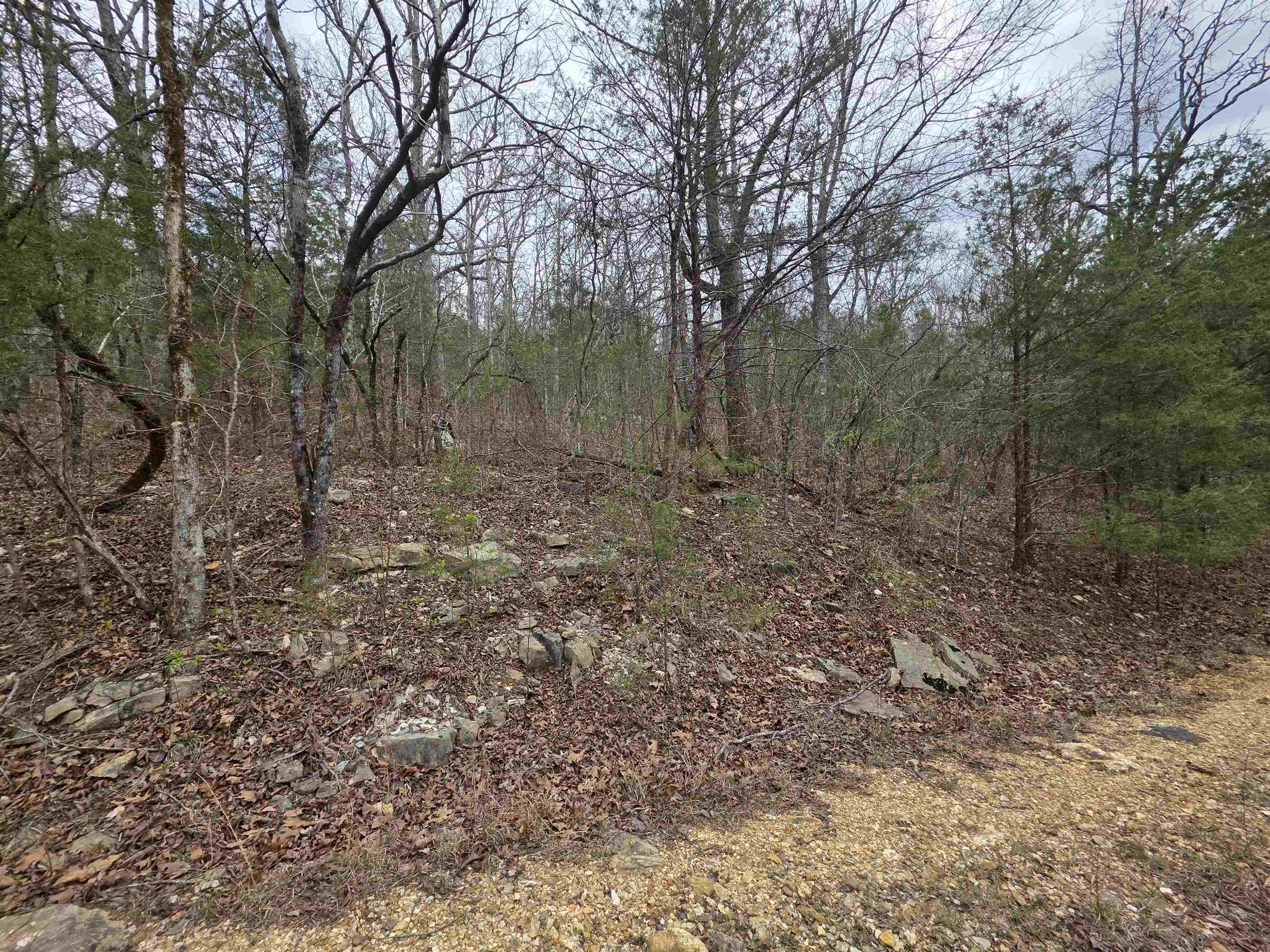 Photo 12 - Vacant Land for sale – L-24 B-5  Tom Lee   Hardy, AR