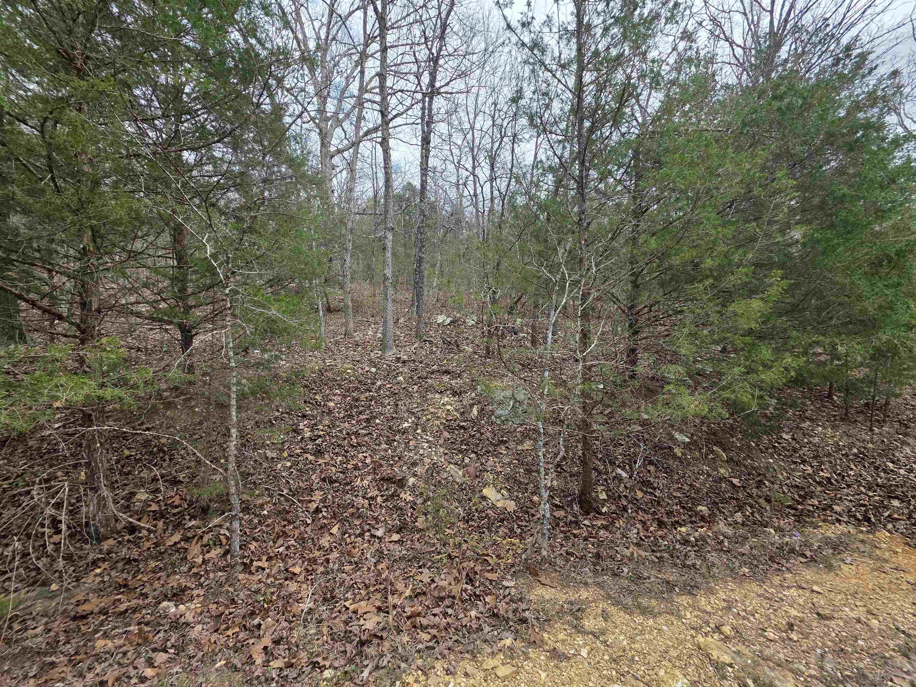 Photo 3 - Vacant Land for sale – L-24 B-5  Tom Lee   Hardy, AR