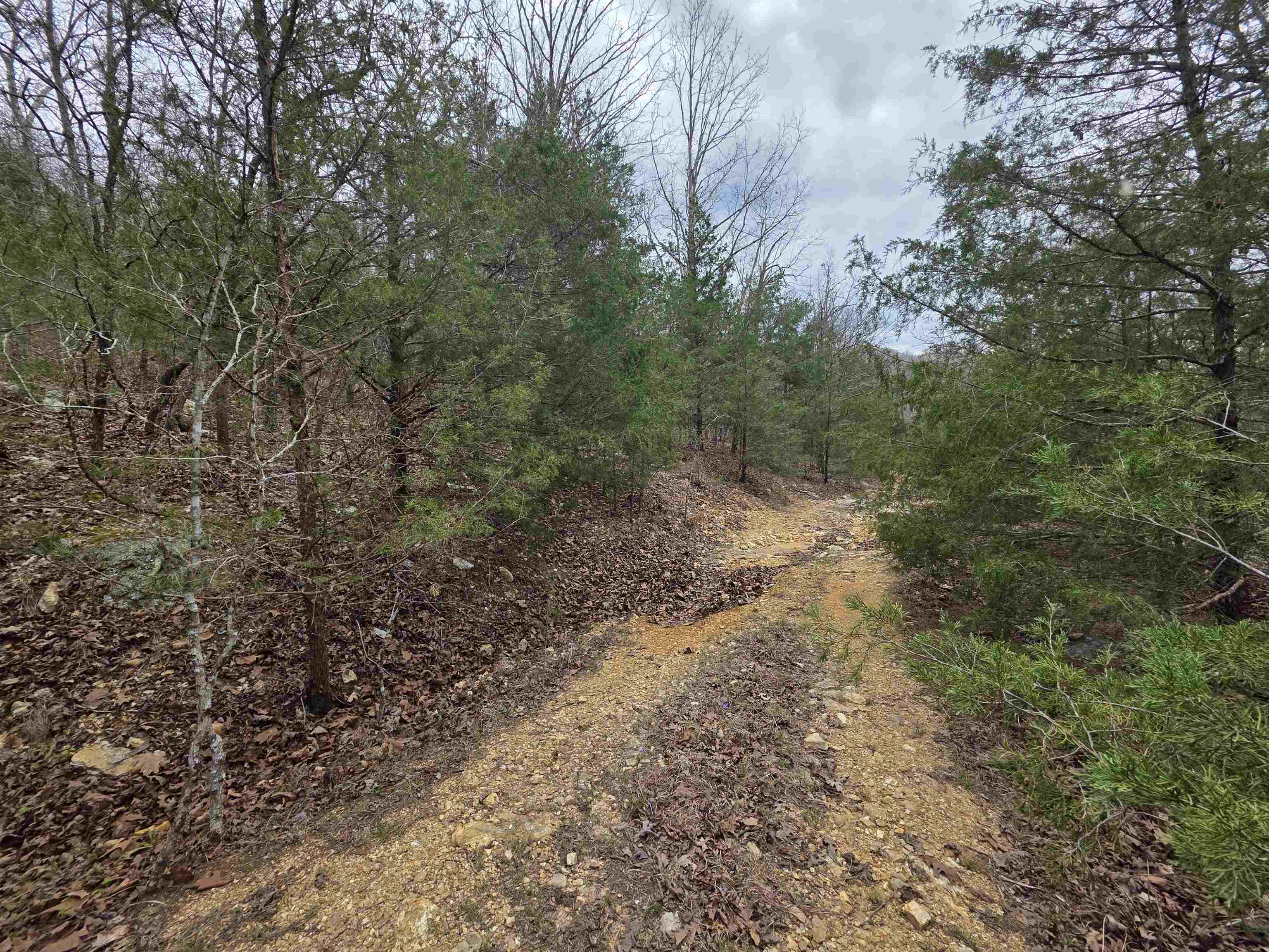 Photo 4 - Vacant Land for sale – L-24 B-5  Tom Lee   Hardy, AR