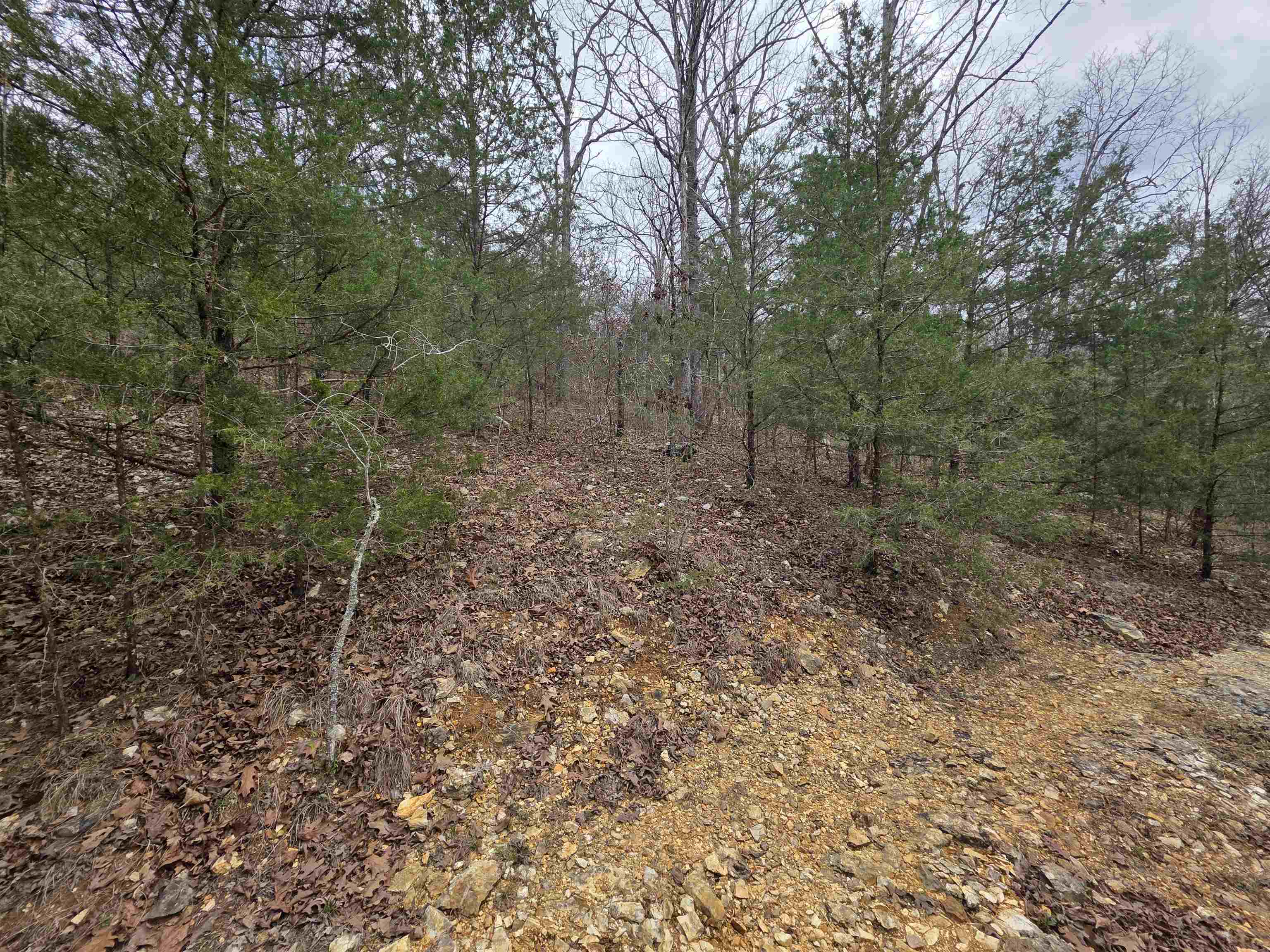 Photo 5 - Vacant Land for sale – L-24 B-5  Tom Lee   Hardy, AR