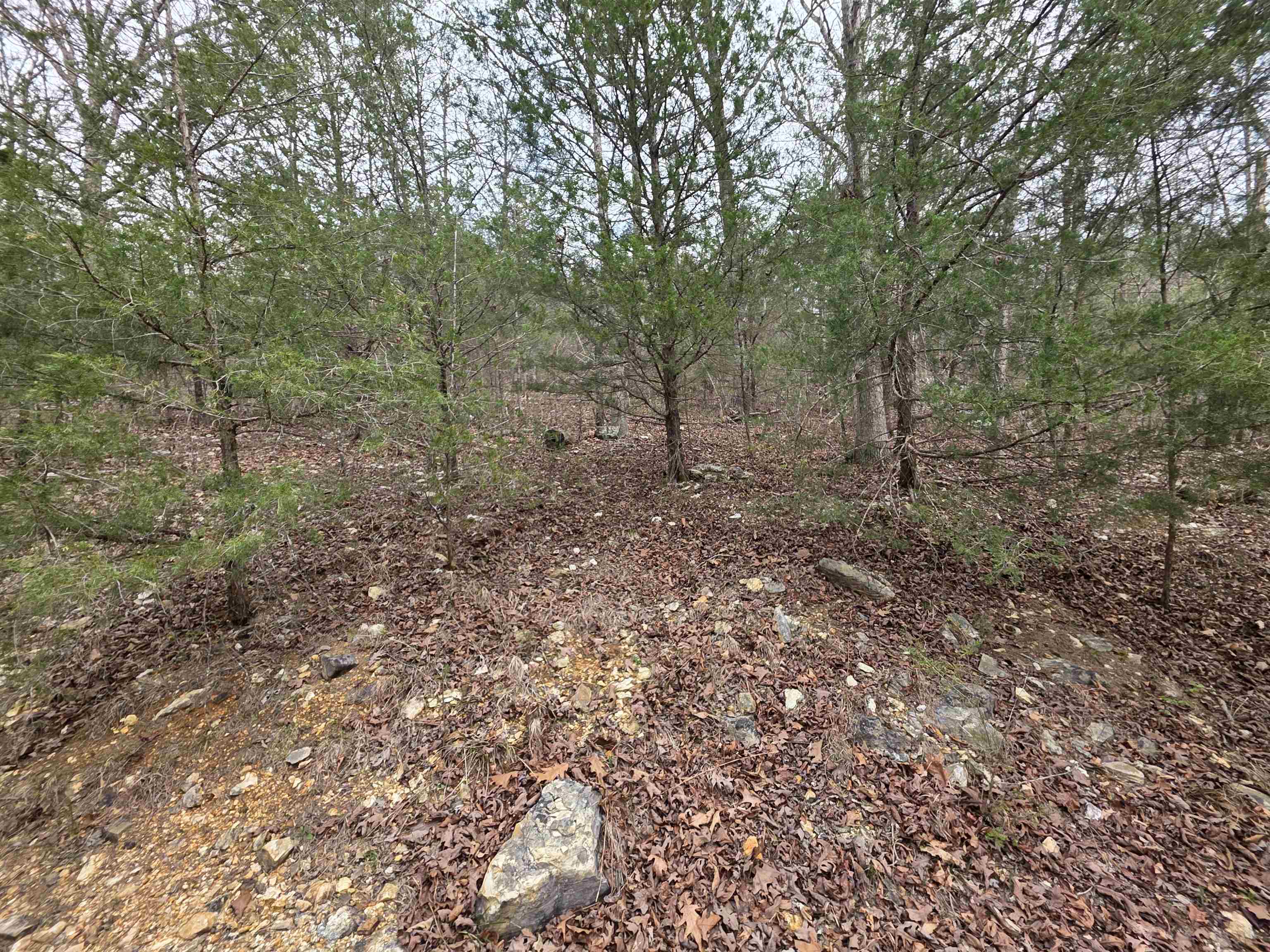 Photo 6 - Vacant Land for sale – L-24 B-5  Tom Lee   Hardy, AR