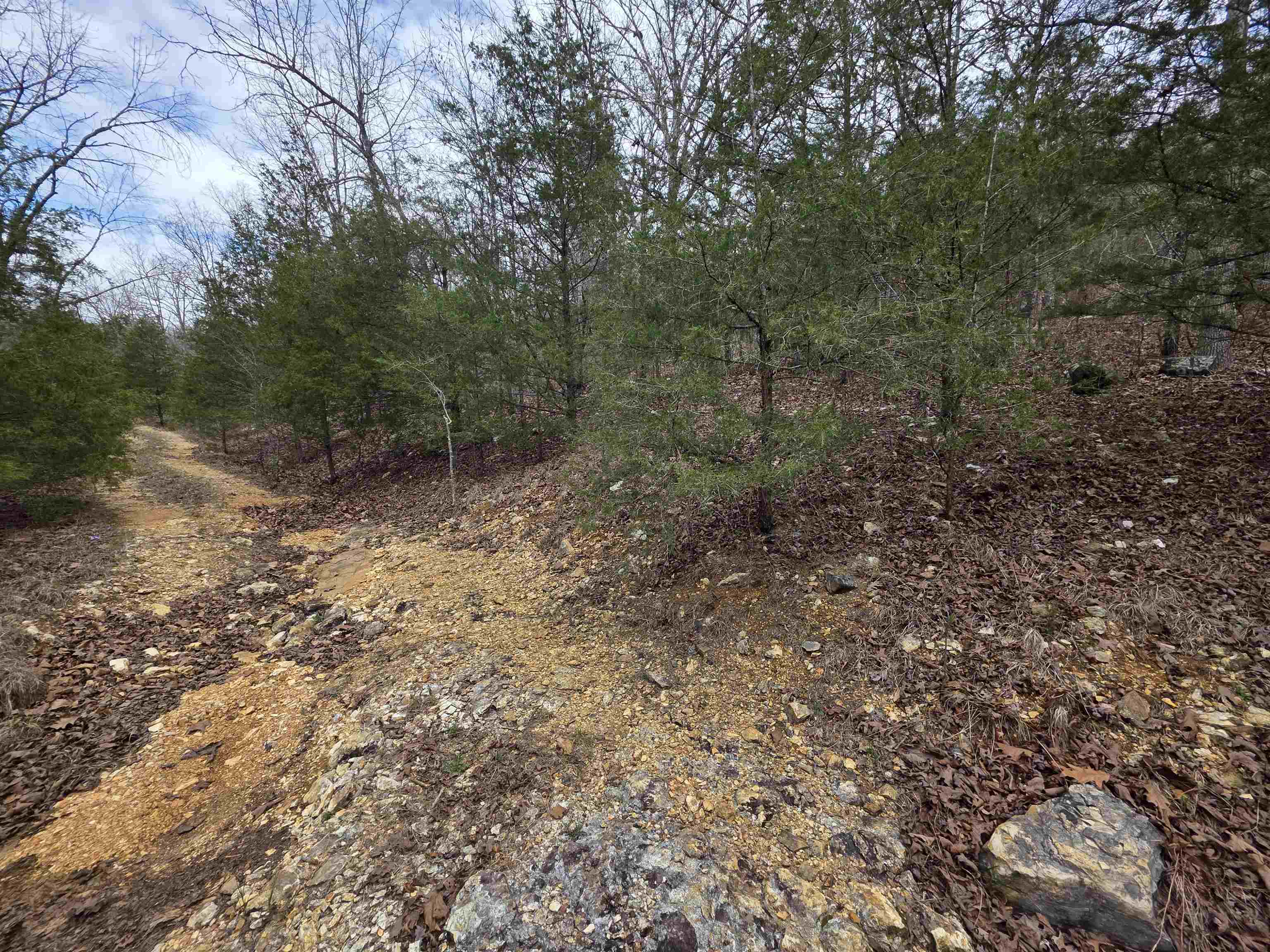 Photo 7 - Vacant Land for sale – L-24 B-5  Tom Lee   Hardy, AR