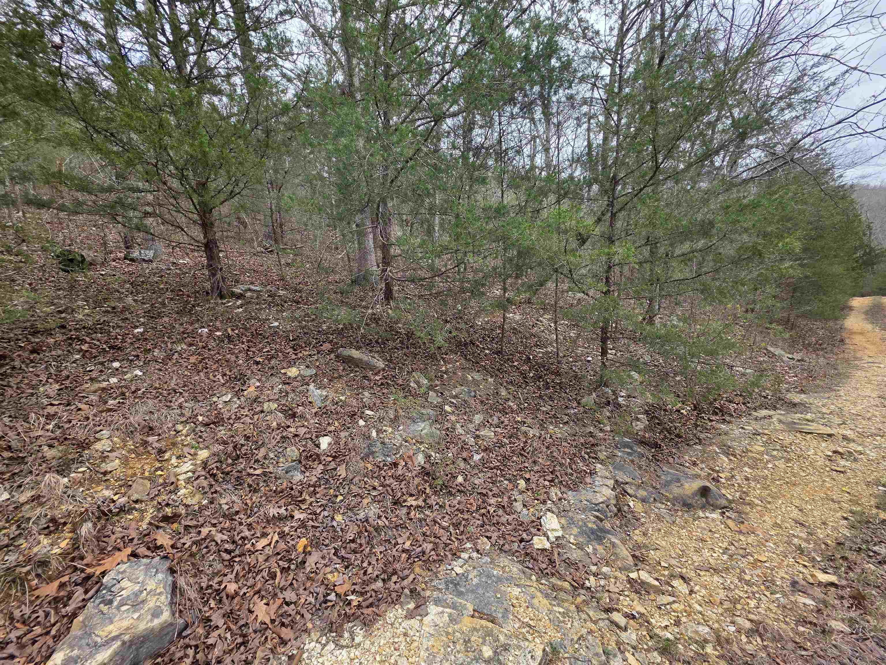 Photo 8 - Vacant Land for sale – L-24 B-5  Tom Lee   Hardy, AR