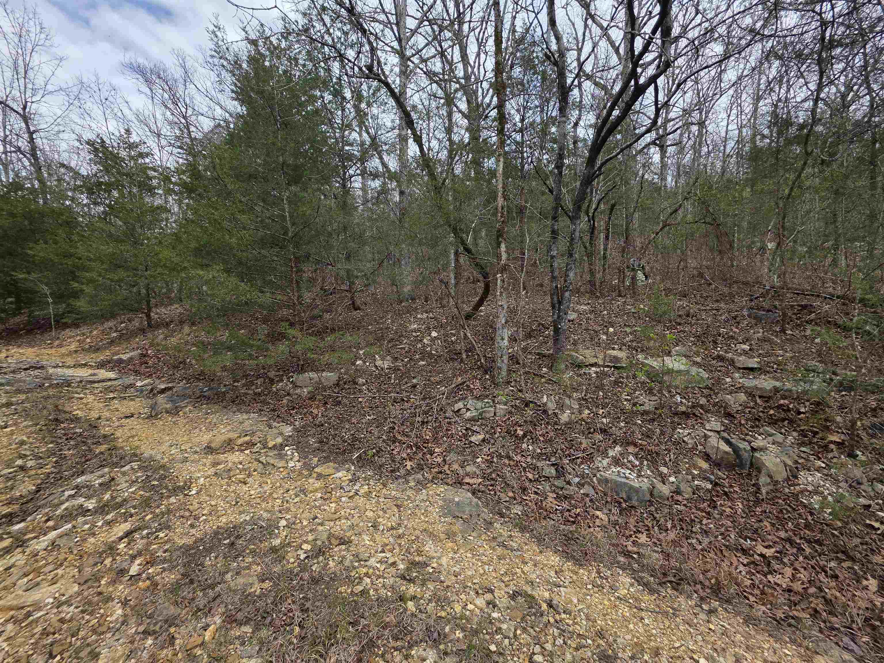 Photo 10 - Vacant Land for sale – L-24 B-5  Tom Lee   Hardy, AR