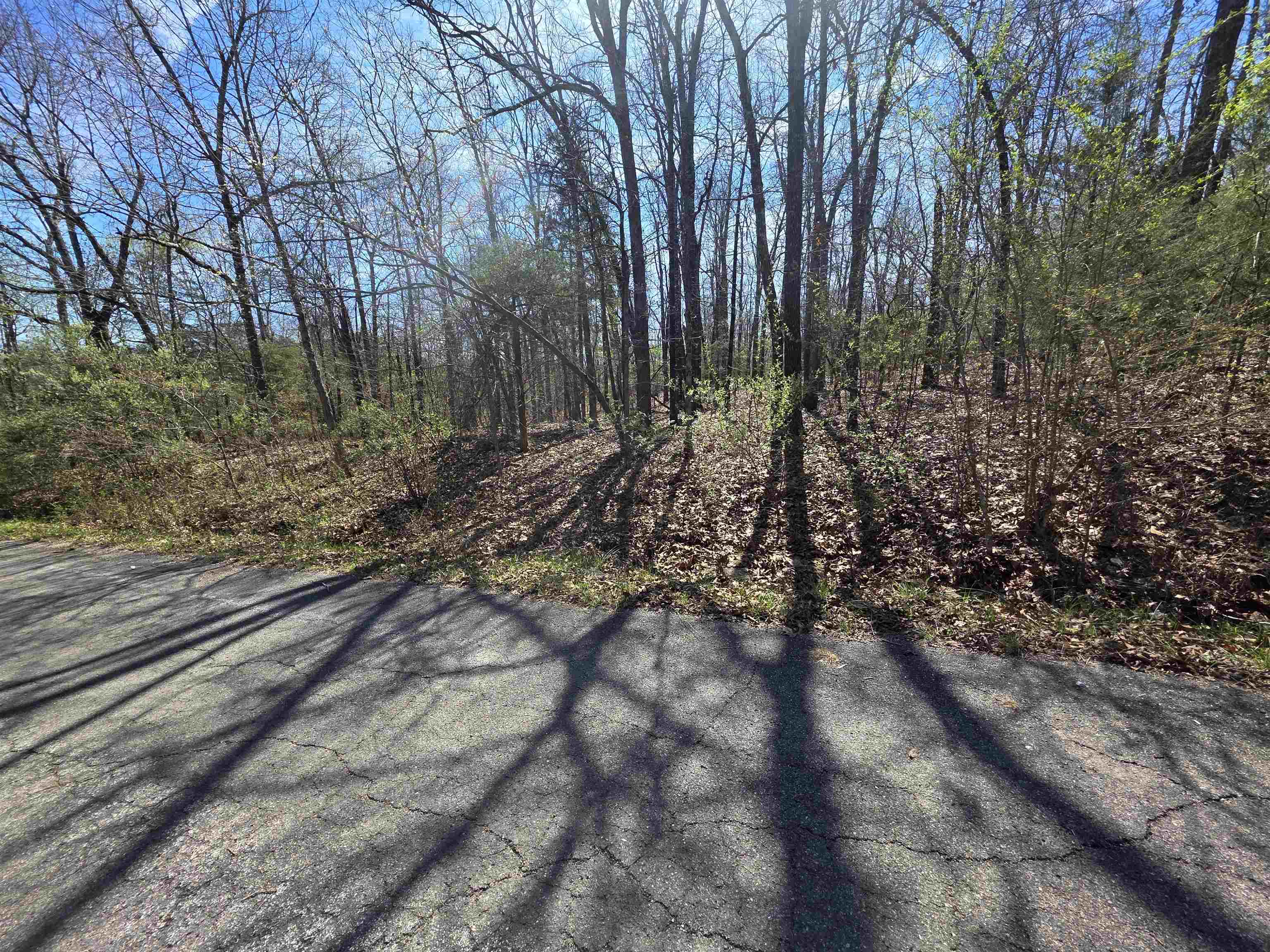 Vacant Land for sale – L-71 B-10  Oklahoma   Cherokee Village, AR