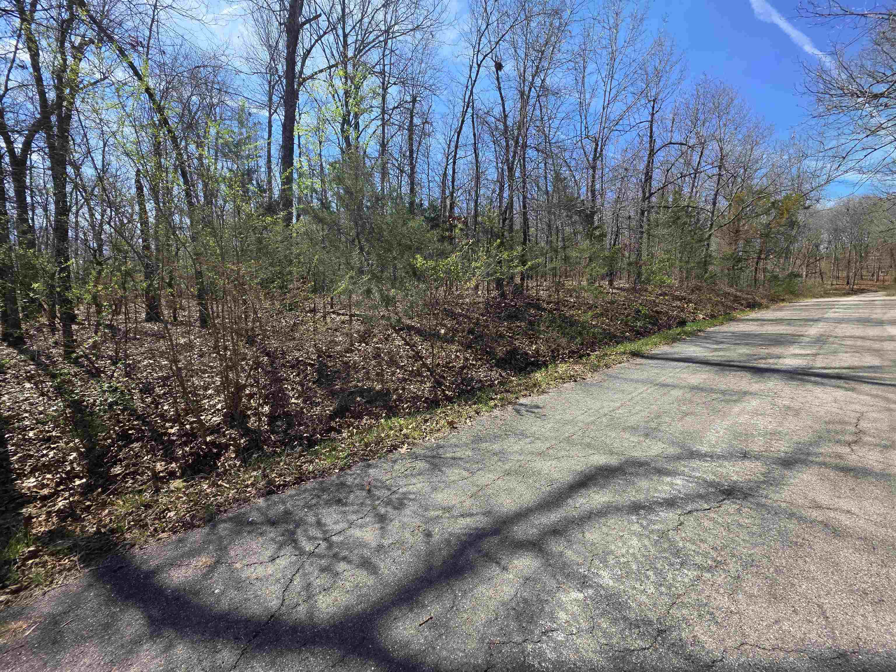 Photo 2 - Vacant Land for sale – L-71 B-10  Oklahoma   Cherokee Village, AR