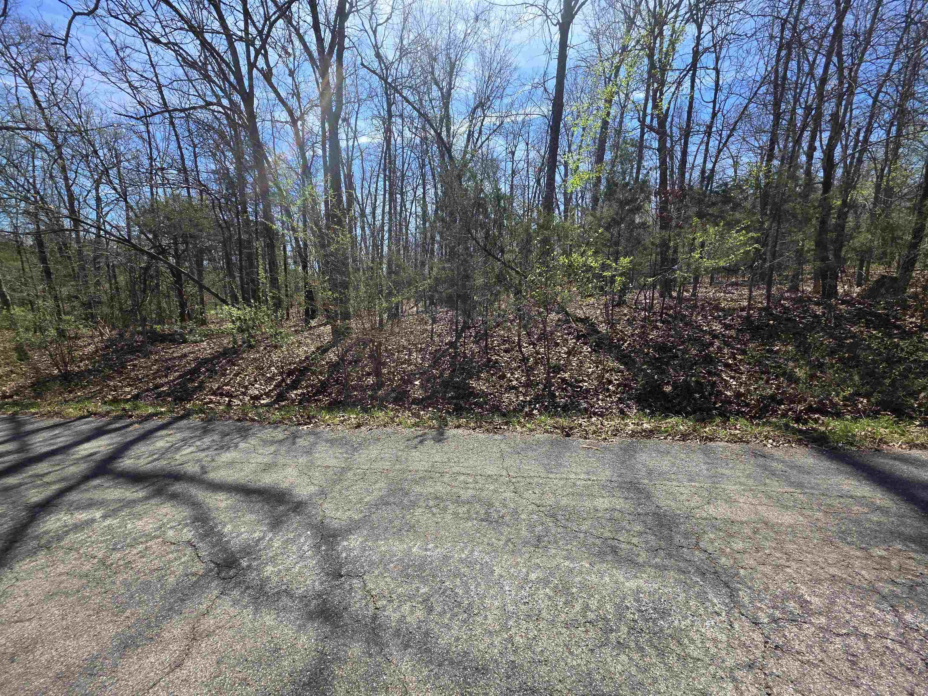 Photo 11 - Vacant Land for sale – L-71 B-10  Oklahoma   Cherokee Village, AR