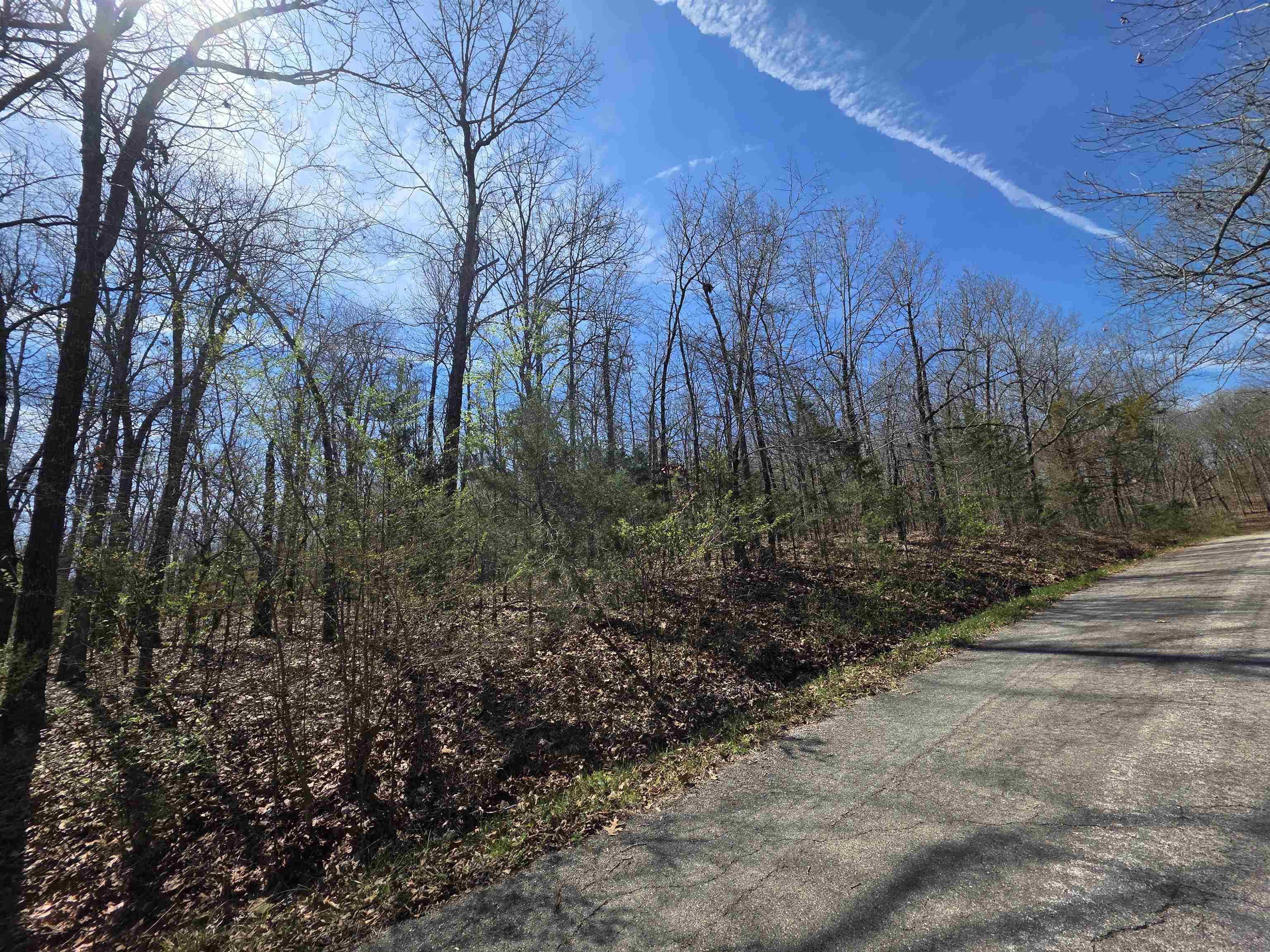 Photo 3 - Vacant Land for sale – L-71 B-10  Oklahoma   Cherokee Village, AR