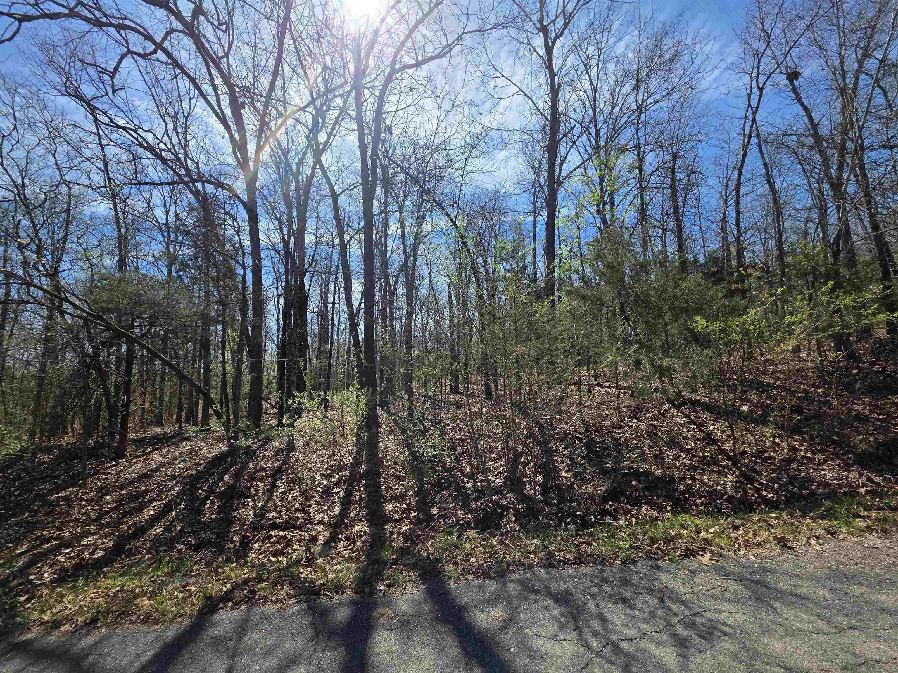 Photo 4 - Vacant Land for sale – L-71 B-10  Oklahoma   Cherokee Village, AR