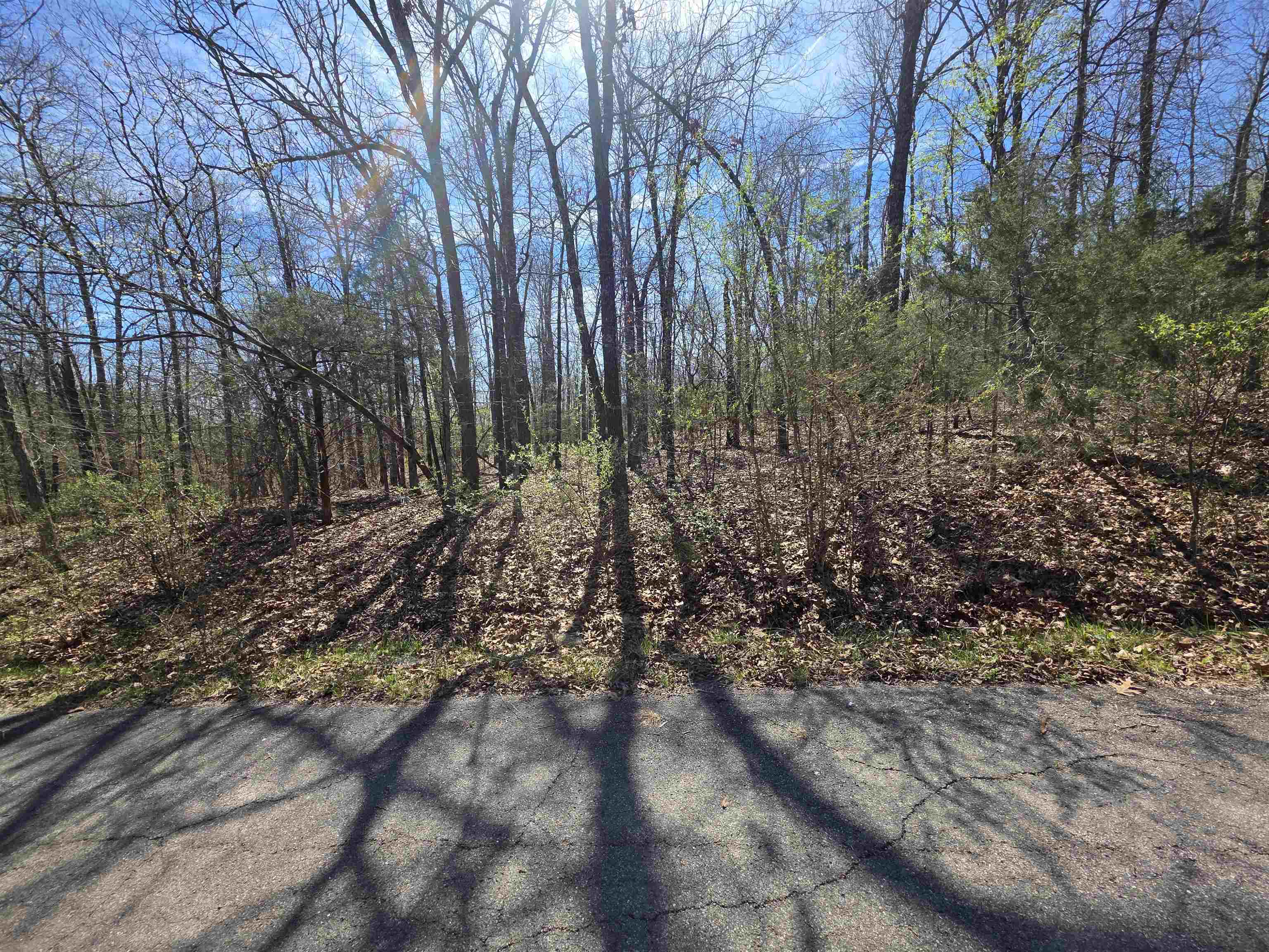 Photo 5 - Vacant Land for sale – L-71 B-10  Oklahoma   Cherokee Village, AR