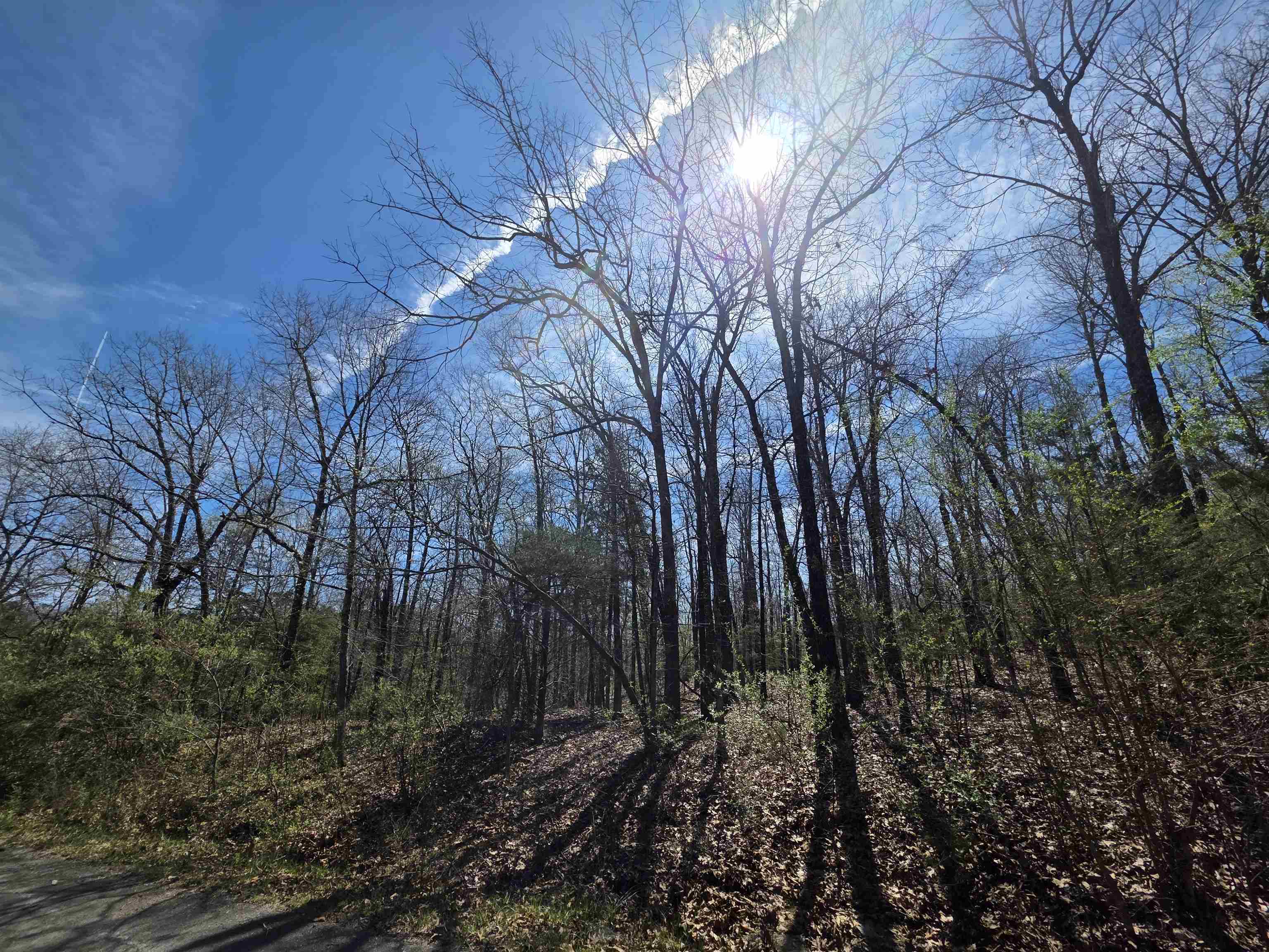 Photo 6 - Vacant Land for sale – L-71 B-10  Oklahoma   Cherokee Village, AR