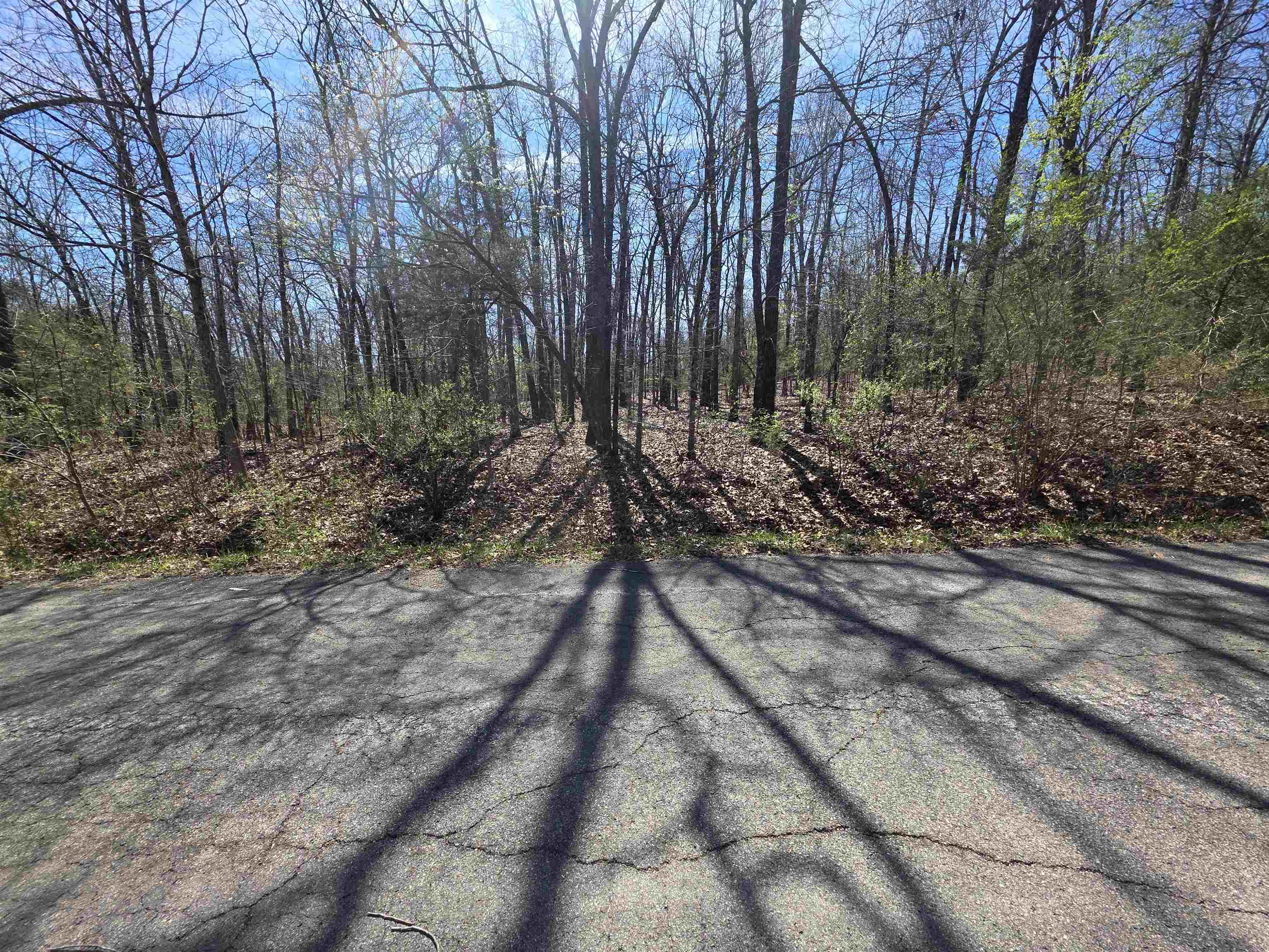 Photo 7 - Vacant Land for sale – L-71 B-10  Oklahoma   Cherokee Village, AR