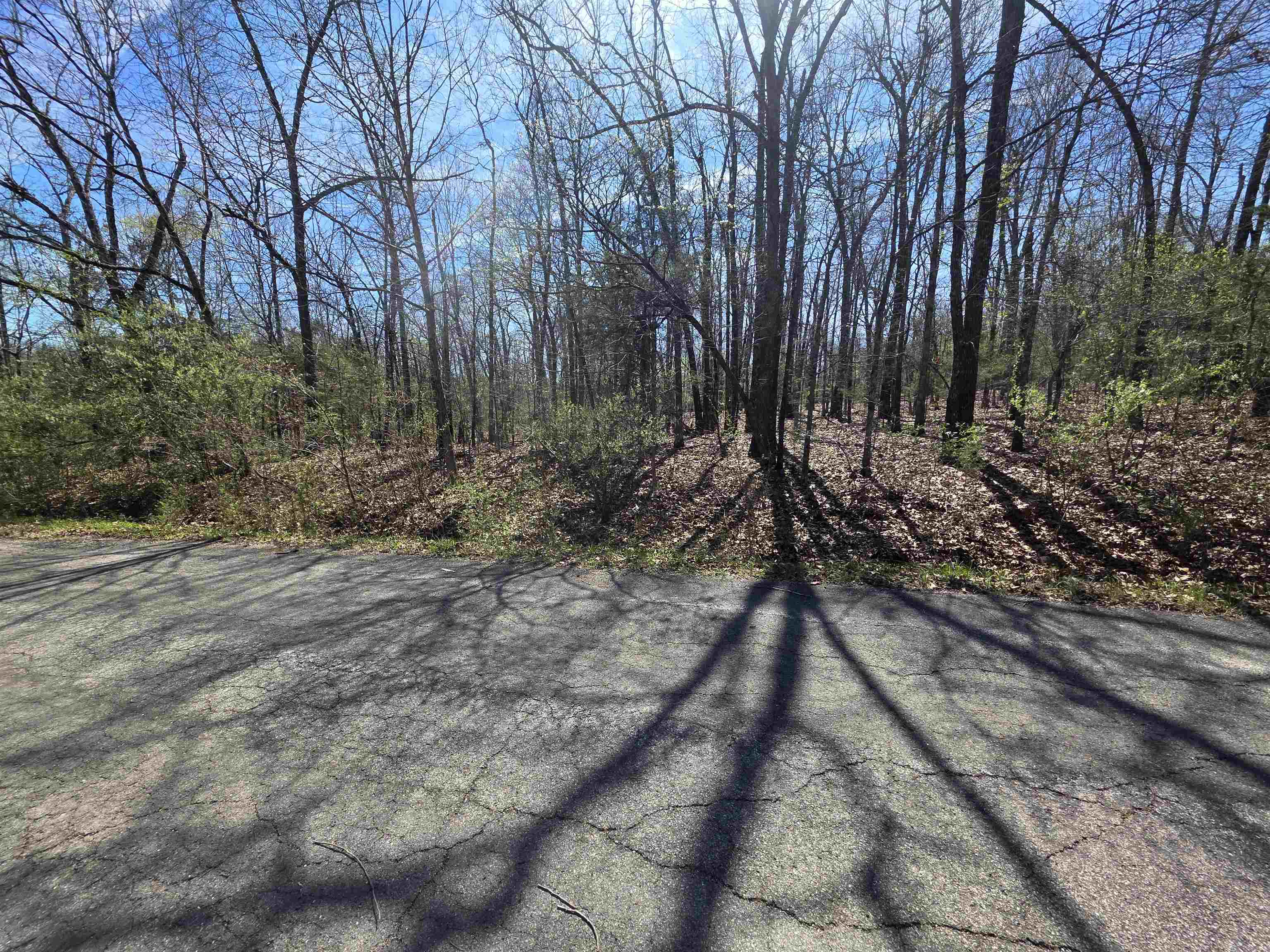 Photo 8 - Vacant Land for sale – L-71 B-10  Oklahoma   Cherokee Village, AR