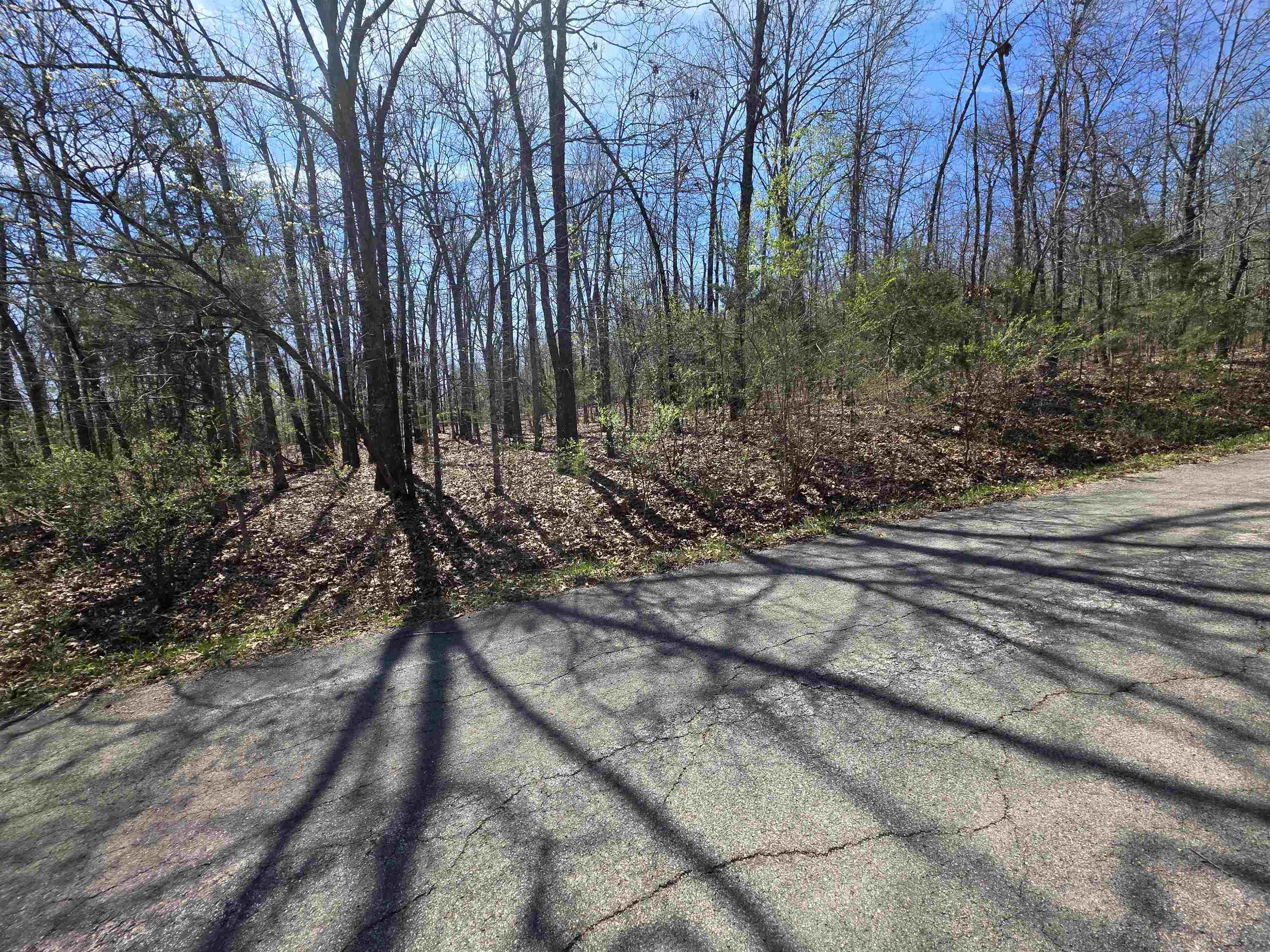 Photo 9 - Vacant Land for sale – L-71 B-10  Oklahoma   Cherokee Village, AR