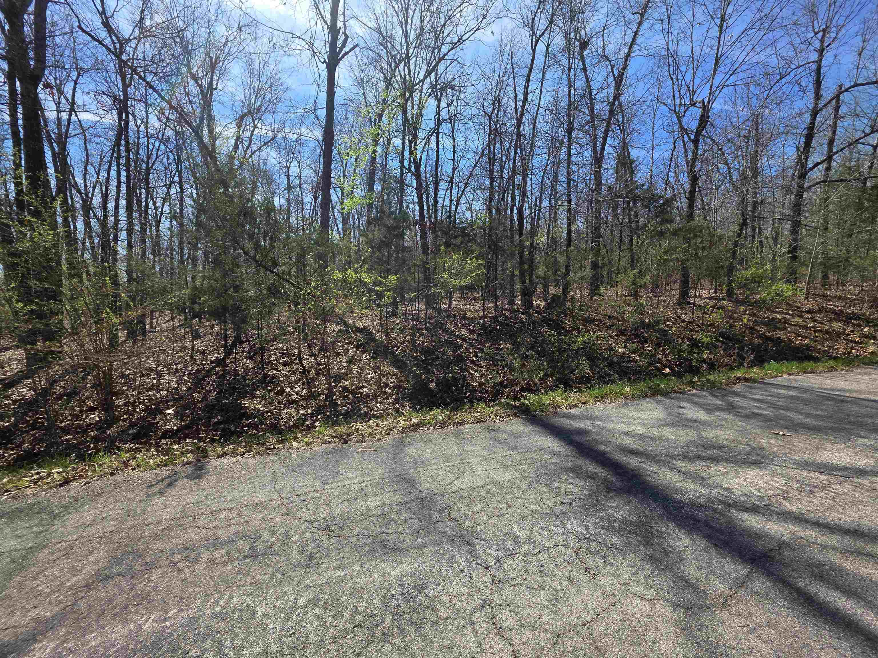 Photo 10 - Vacant Land for sale – L-71 B-10  Oklahoma   Cherokee Village, AR