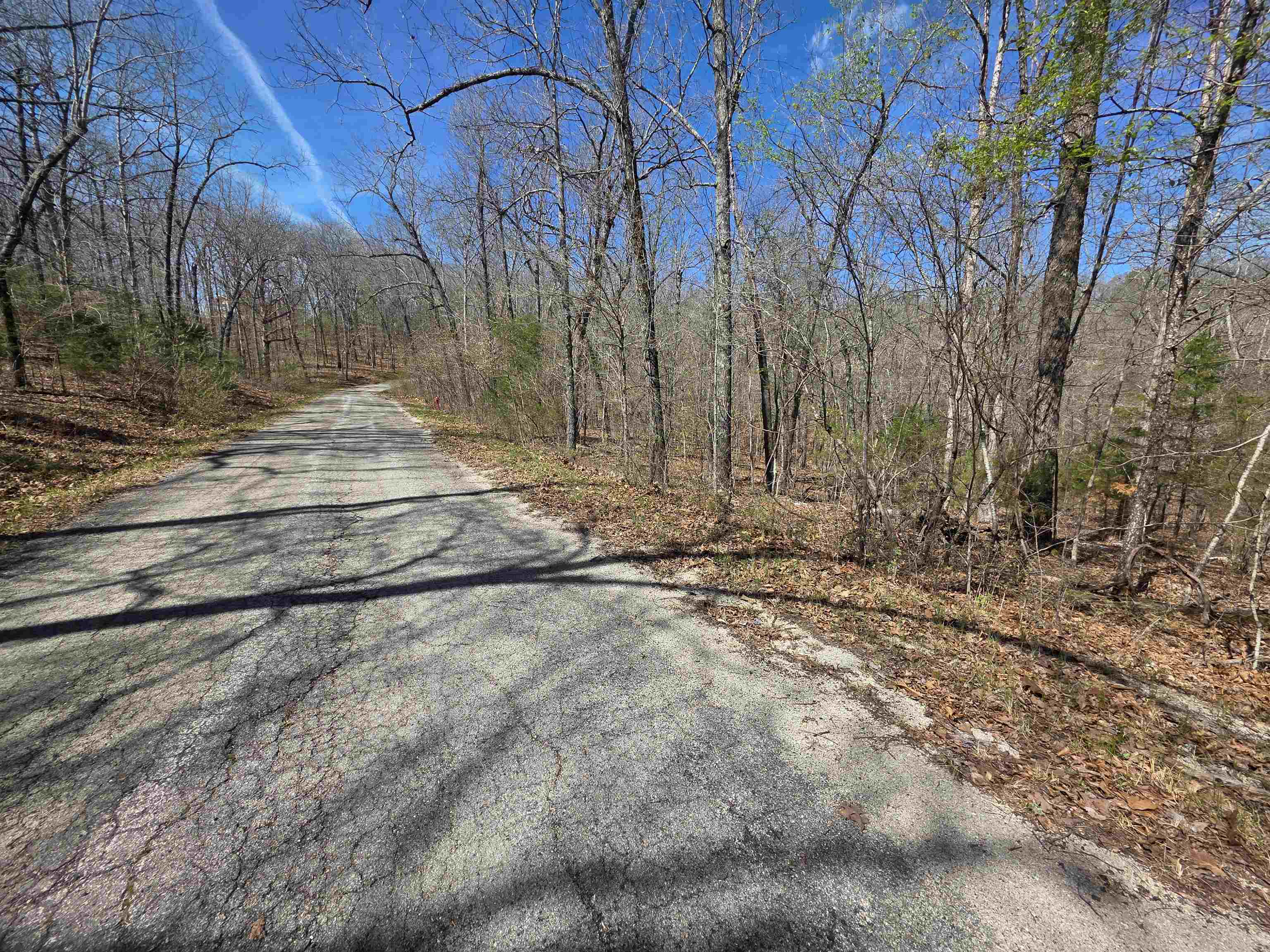 Photo 2 - Vacant Land for sale – L-14 B-11  Oklahoma   Cherokee Village, AR