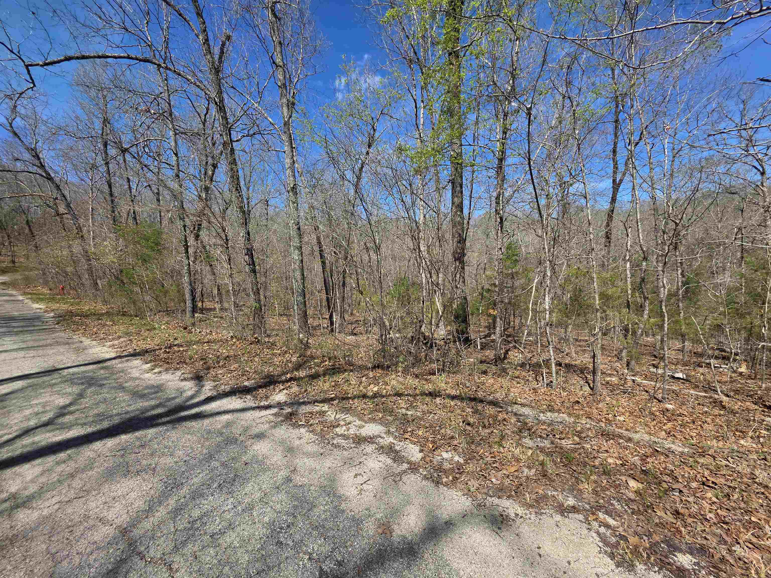 Photo 3 - Vacant Land for sale – L-14 B-11  Oklahoma   Cherokee Village, AR