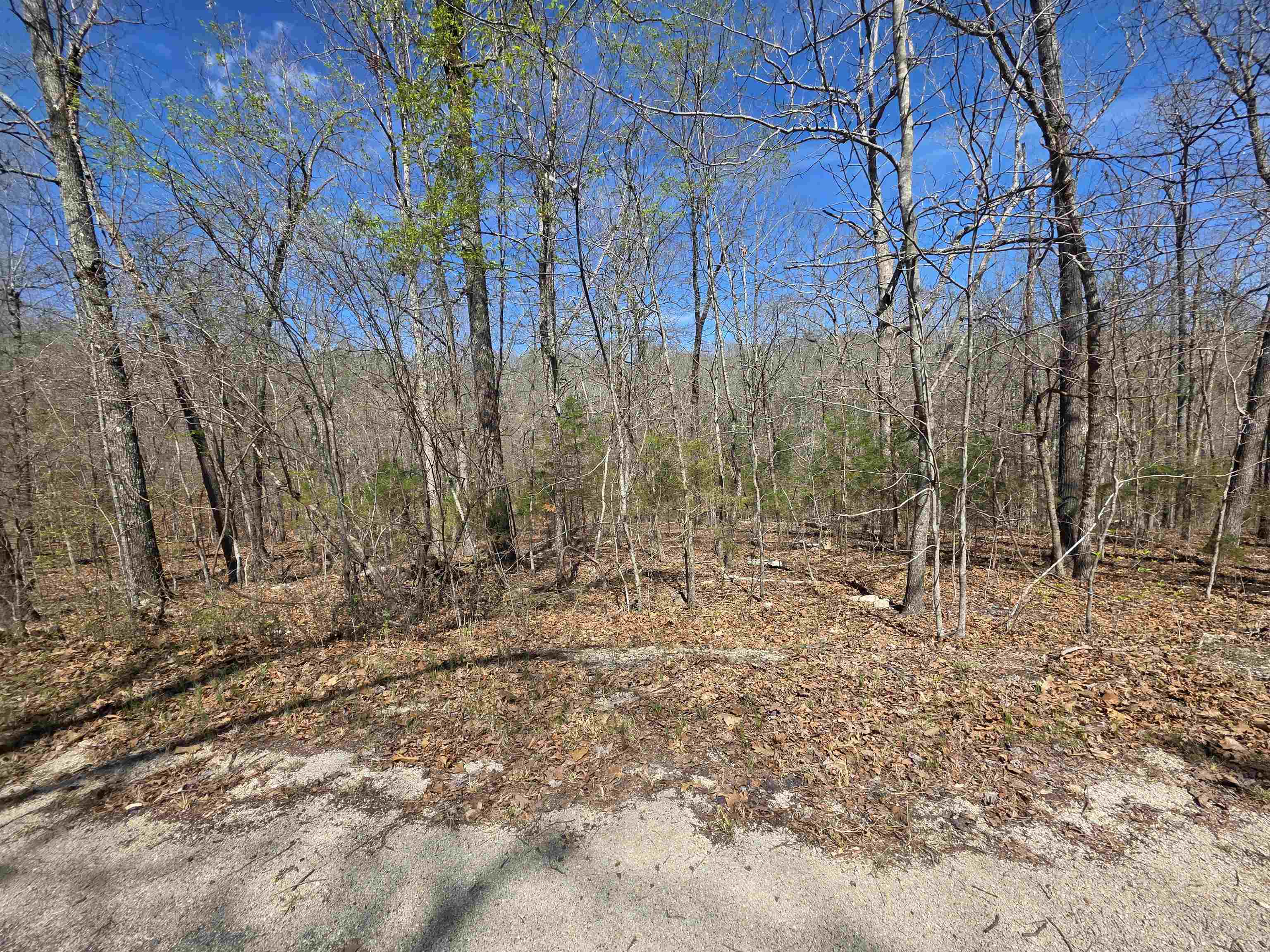 Photo 4 - Vacant Land for sale – L-14 B-11  Oklahoma   Cherokee Village, AR