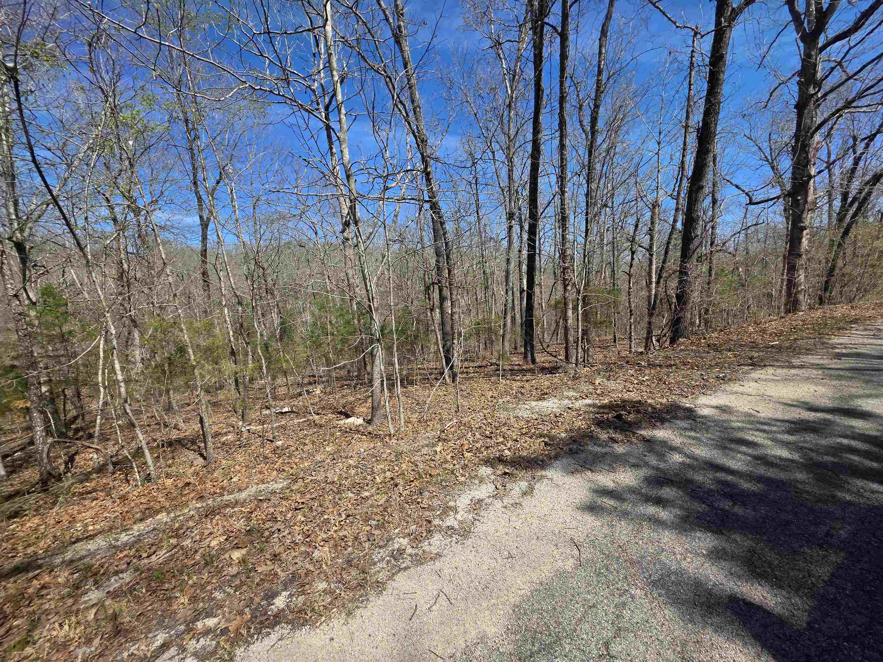 Photo 5 - Vacant Land for sale – L-14 B-11  Oklahoma   Cherokee Village, AR