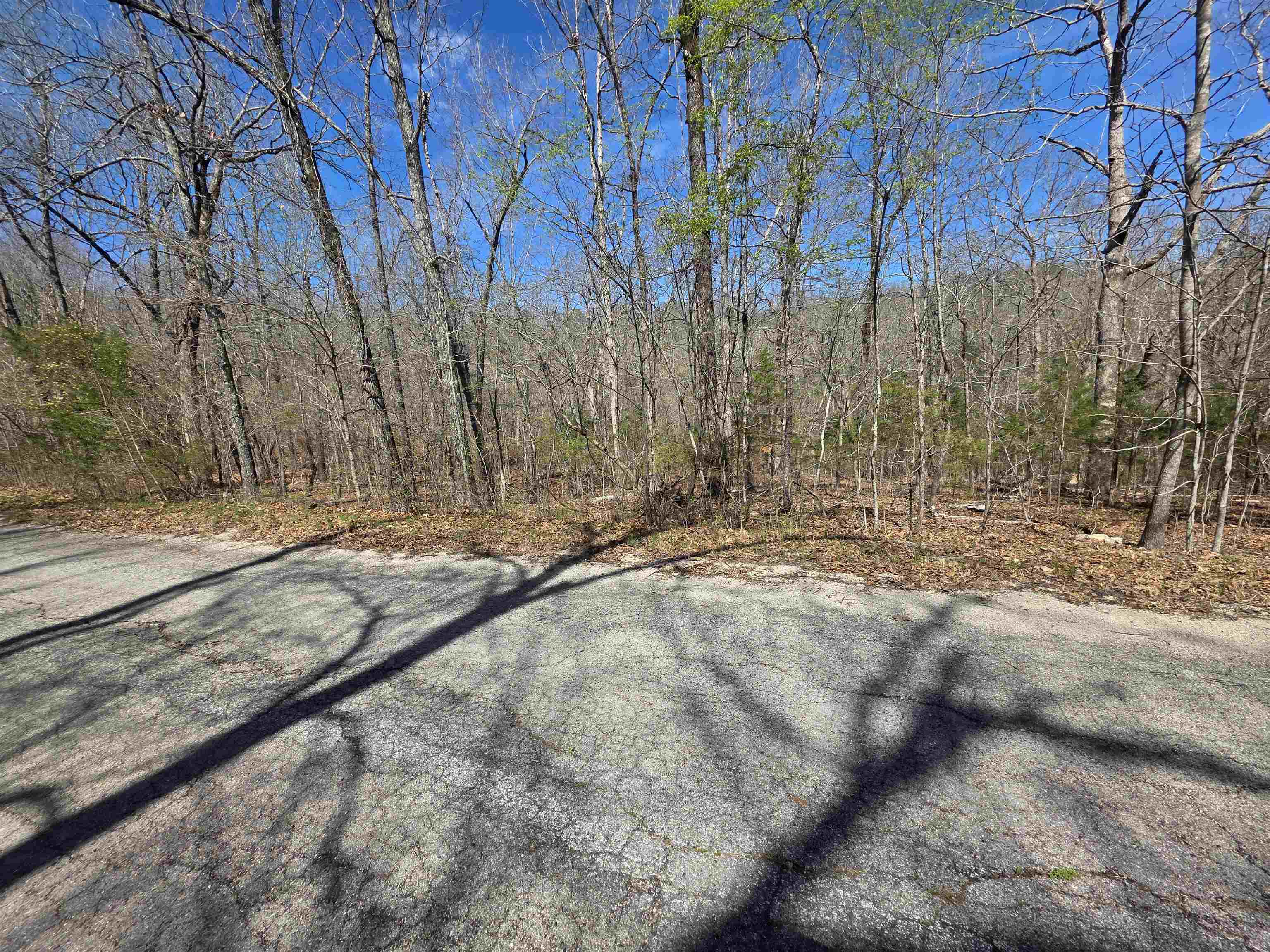 Photo 6 - Vacant Land for sale – L-14 B-11  Oklahoma   Cherokee Village, AR