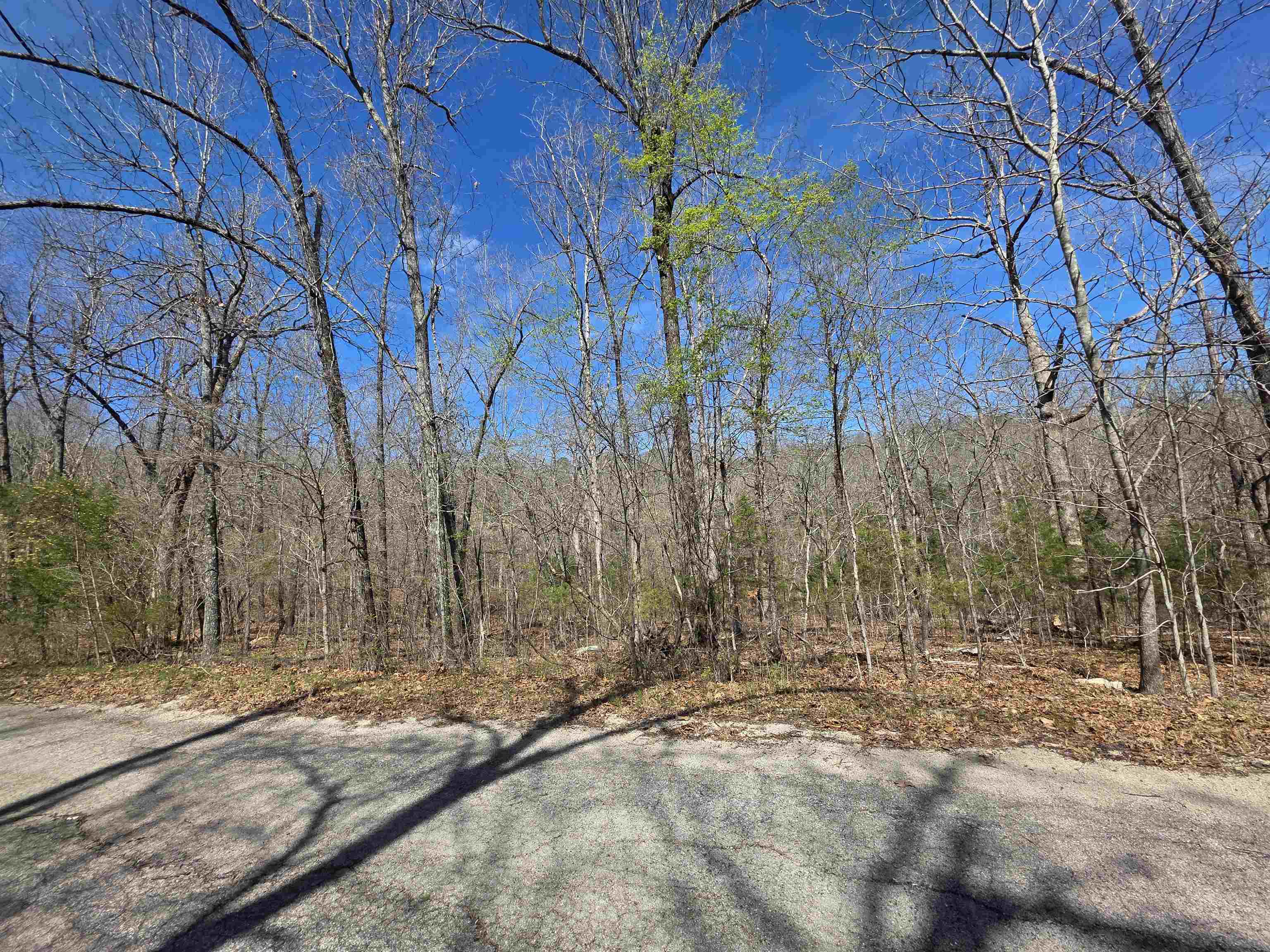 Photo 7 - Vacant Land for sale – L-14 B-11  Oklahoma   Cherokee Village, AR