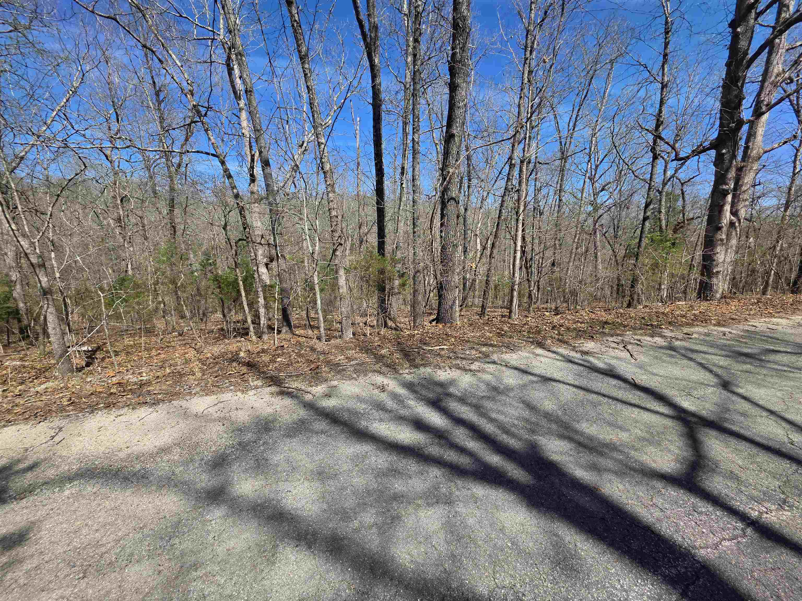 Photo 8 - Vacant Land for sale – L-14 B-11  Oklahoma   Cherokee Village, AR