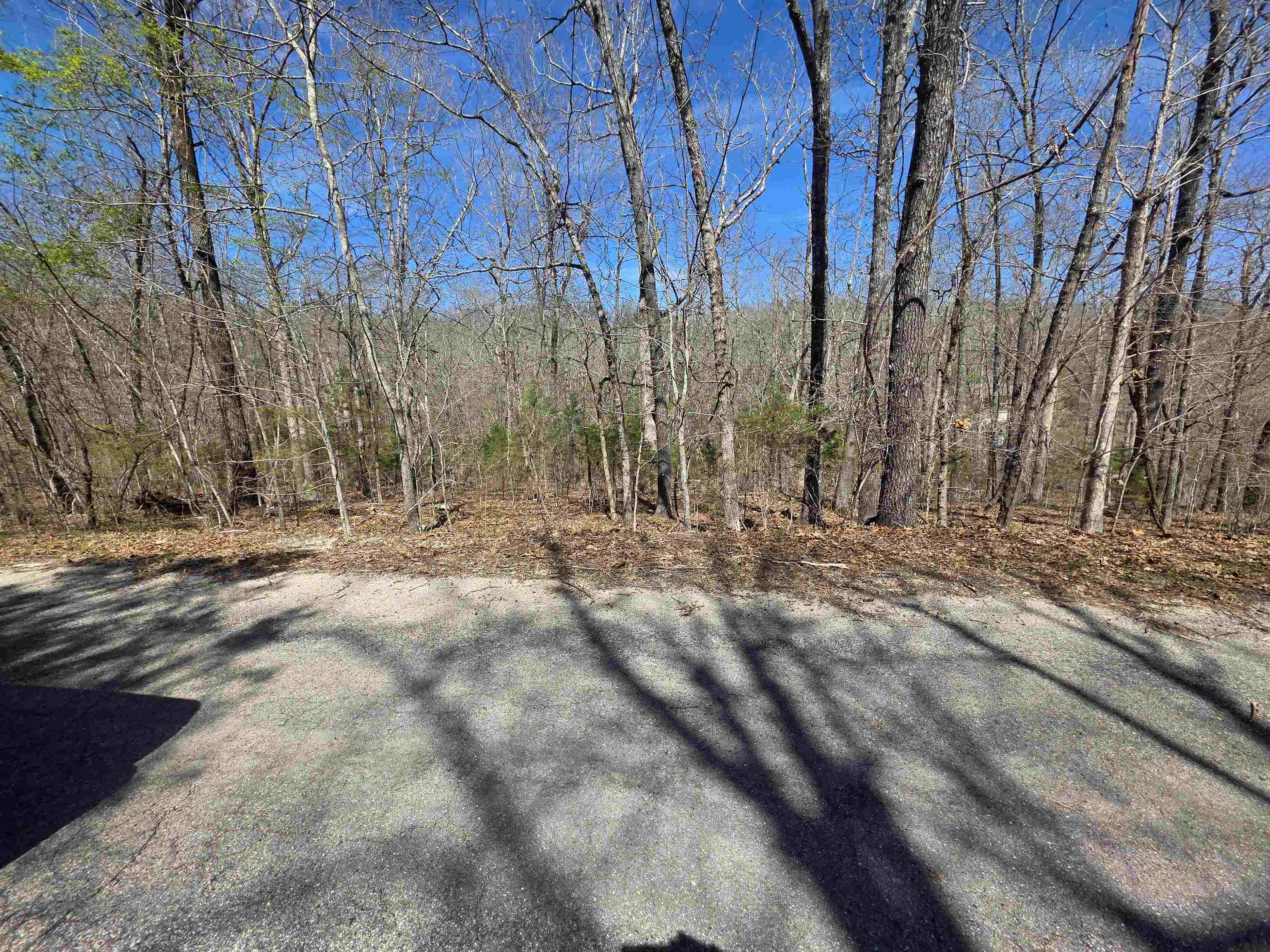 Photo 9 - Vacant Land for sale – L-14 B-11  Oklahoma   Cherokee Village, AR