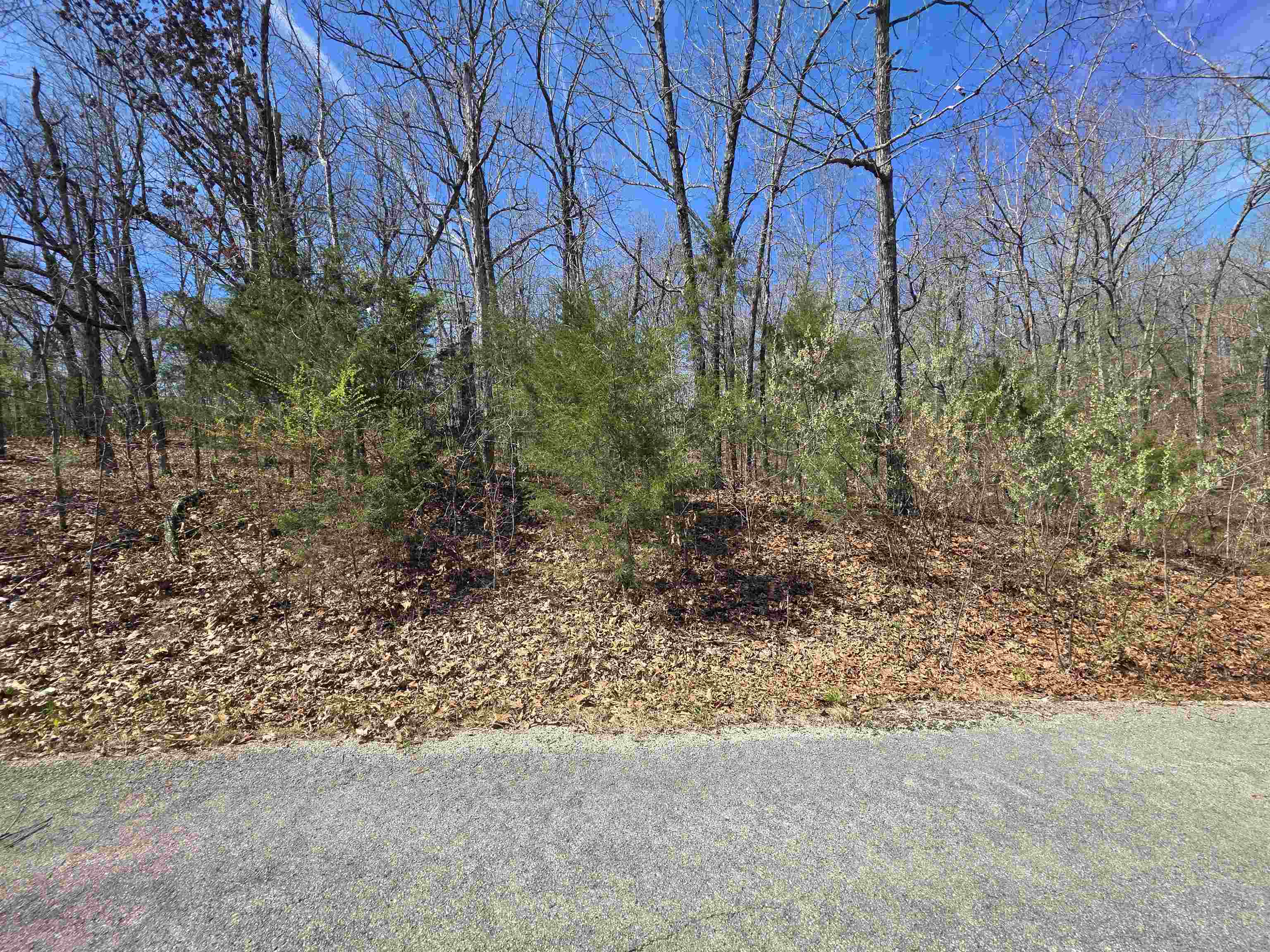 Photo 2 - Vacant Land for sale – L-61 B-10  Oklahoma   Cherokee Village, AR